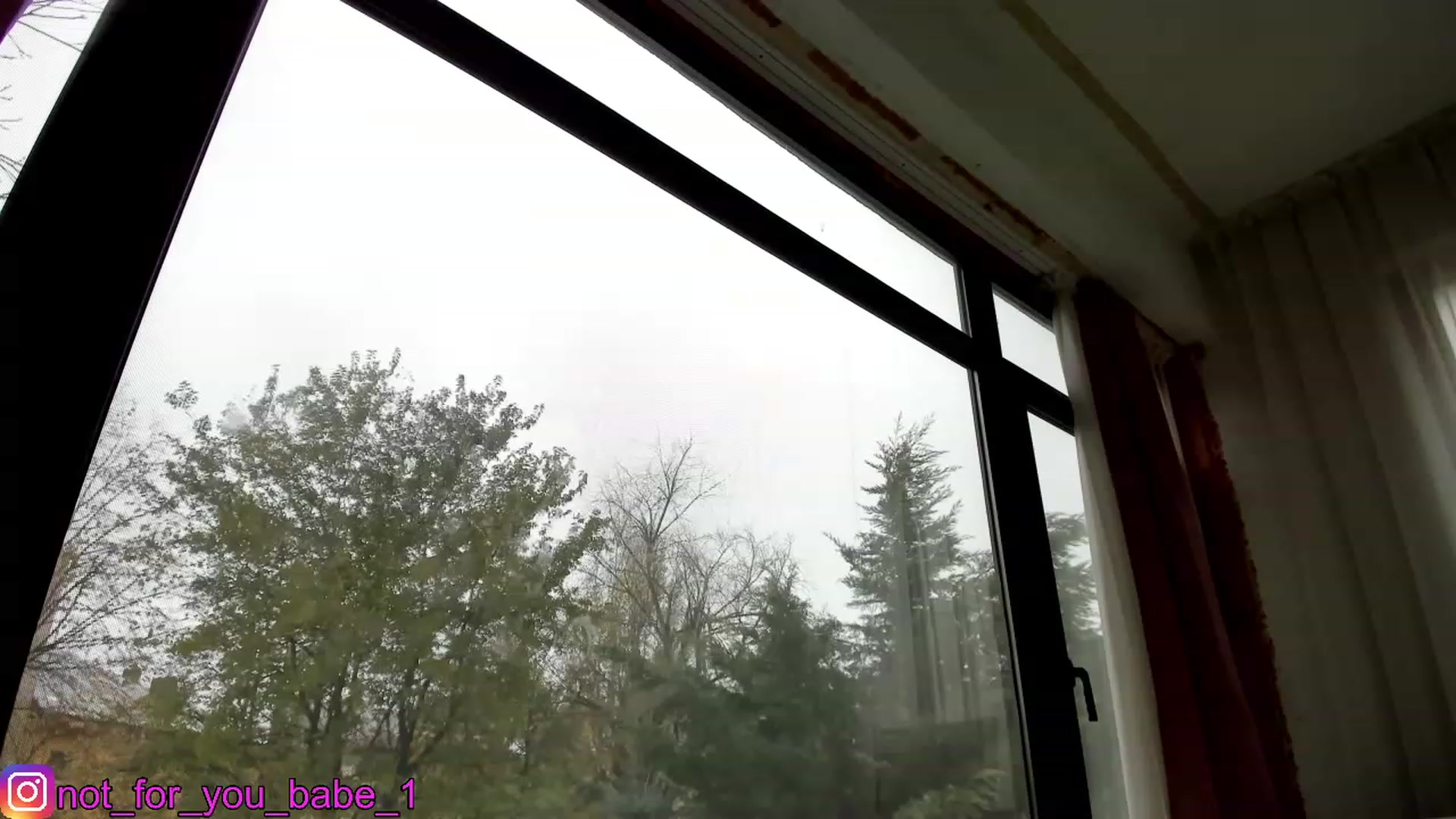Gallery image thumbnail from m1ss_Ariana's myfreecams stream on, 12/11/2023, 12:04 image 18 of 20