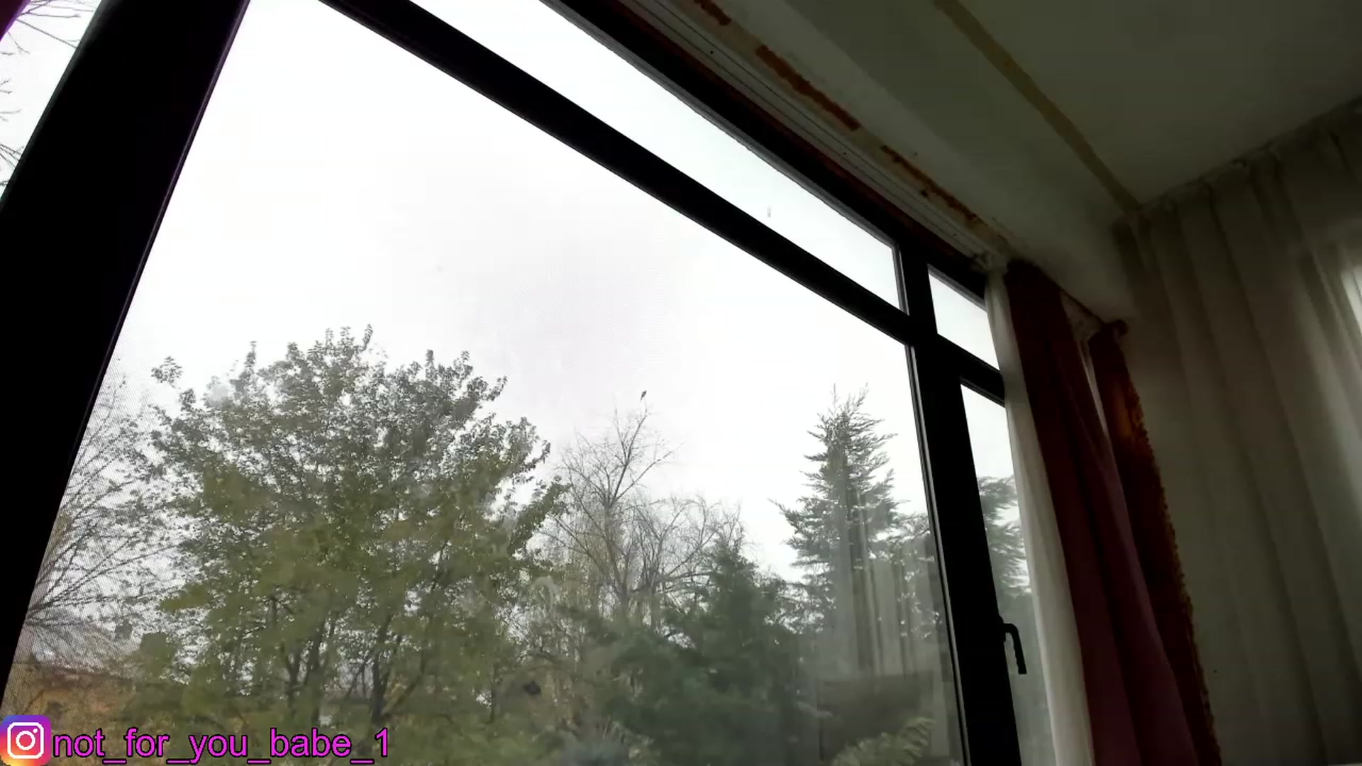 Gallery image thumbnail from m1ss_Ariana's myfreecams stream on, 12/11/2023, 12:04 image 15 of 20