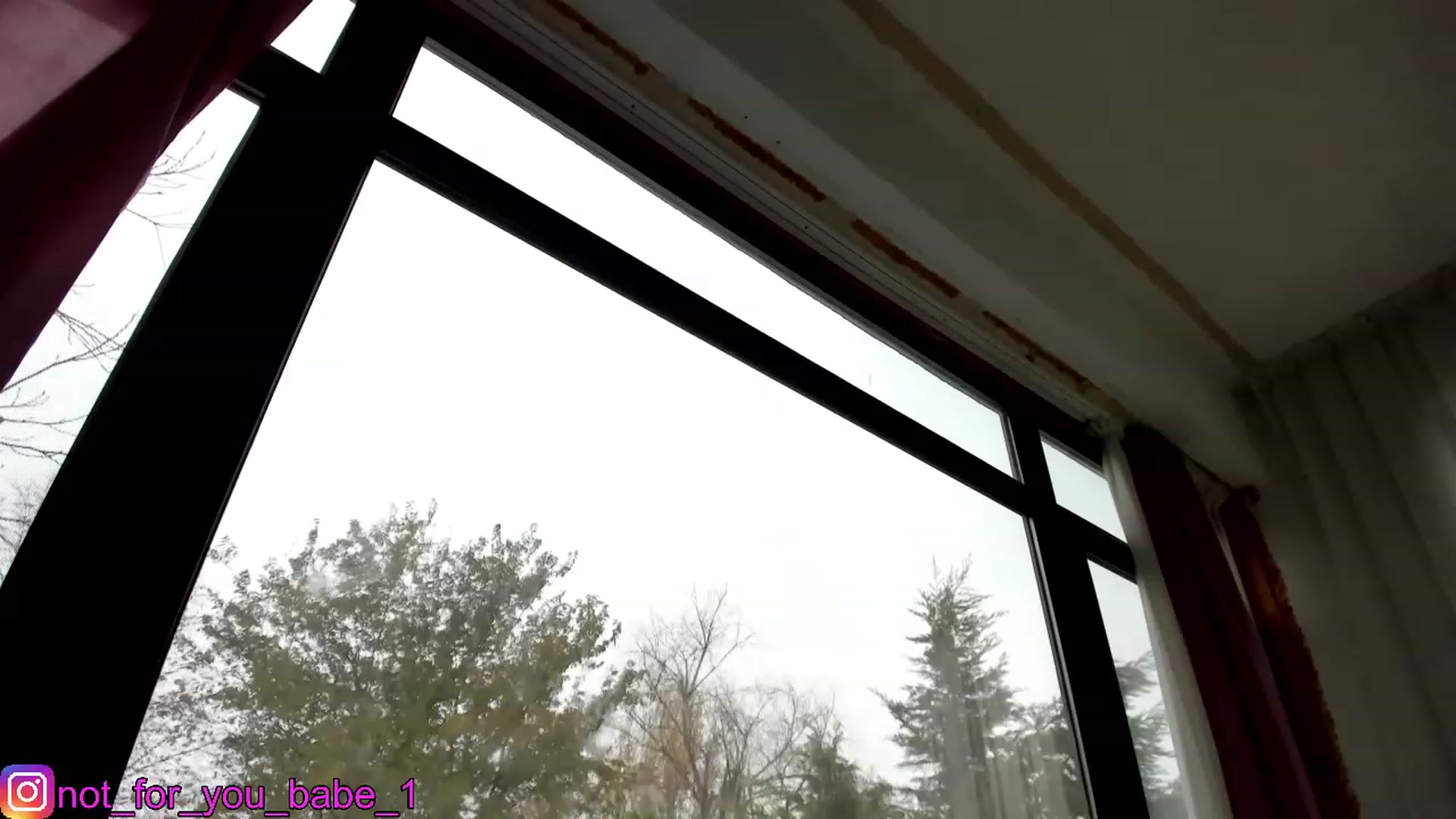 Gallery image thumbnail from m1ss_Ariana's myfreecams stream on, 12/11/2023, 12:04 image 20 of 20