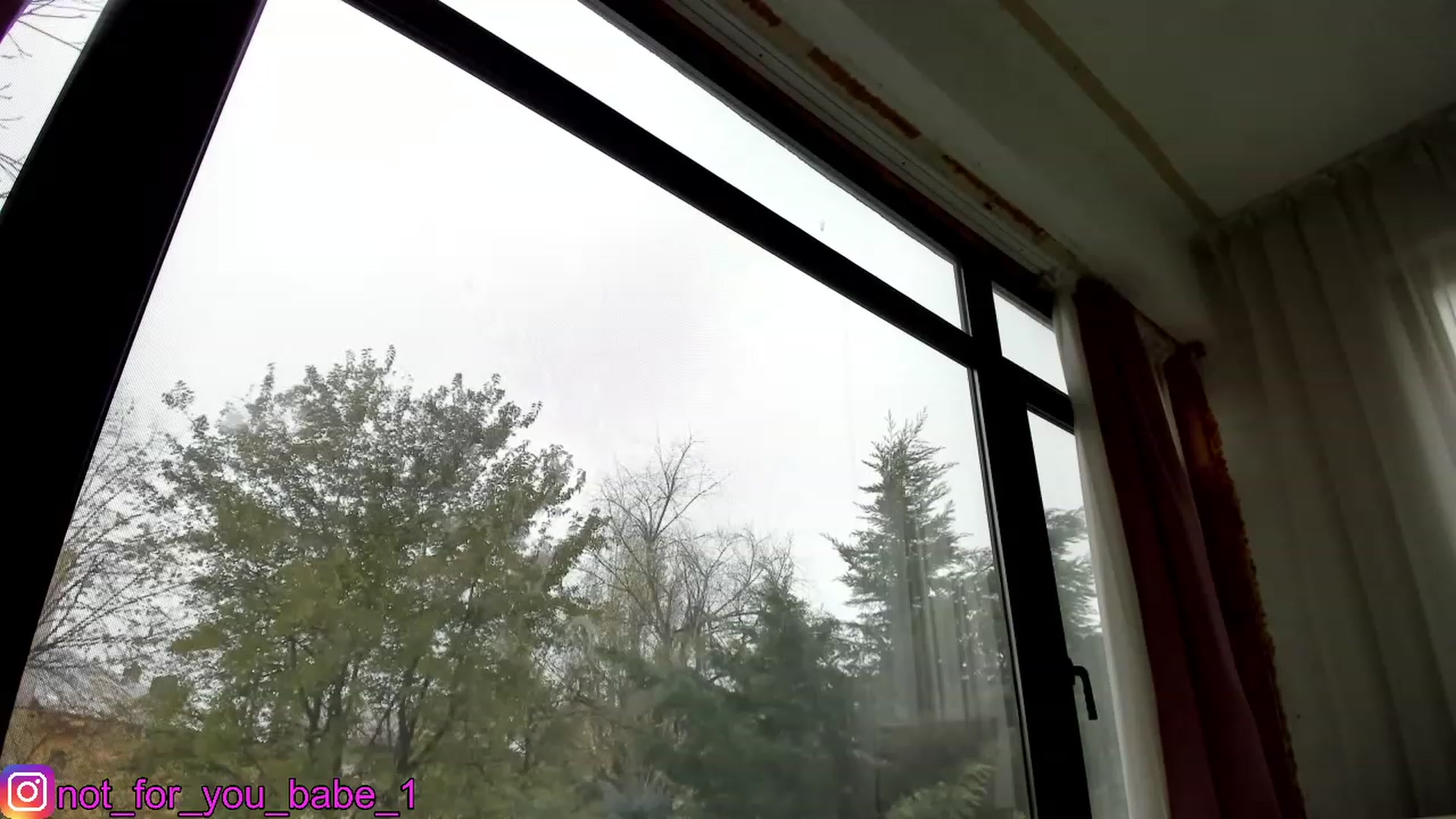 Gallery image thumbnail from m1ss_Ariana's myfreecams stream on, 12/11/2023, 12:04 image 14 of 20