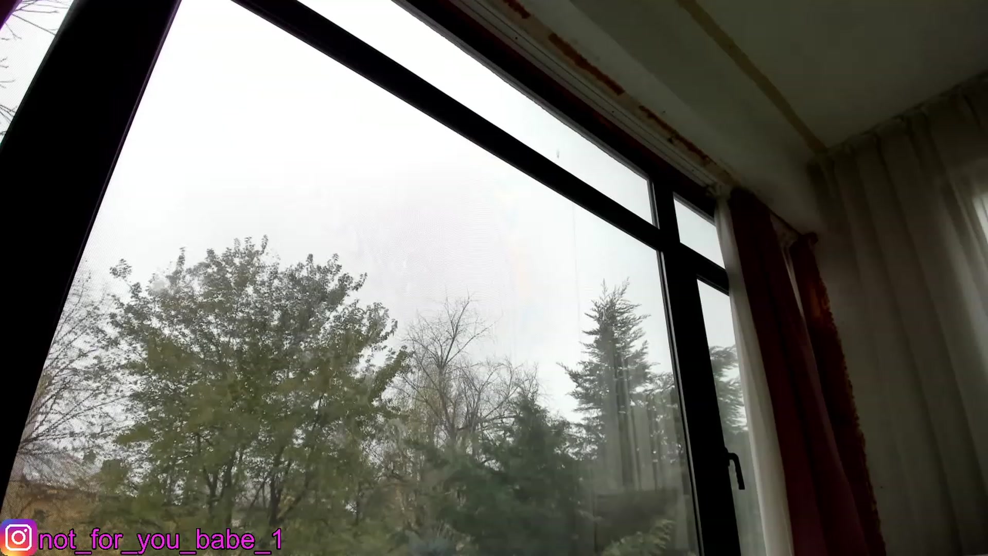 Gallery image thumbnail from m1ss_Ariana's myfreecams stream on, 12/11/2023, 12:04 image 17 of 20