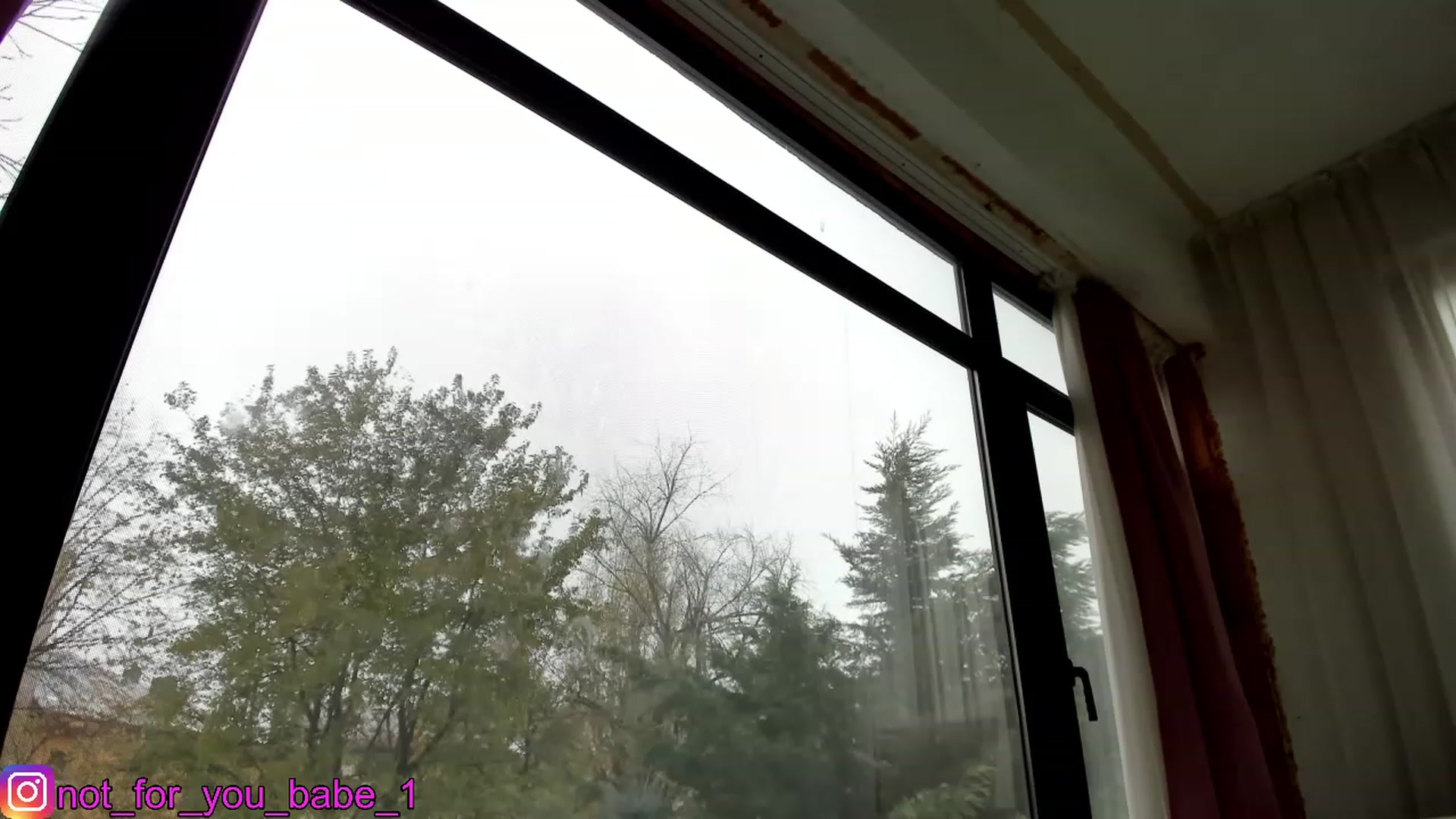 Gallery image thumbnail from m1ss_Ariana's myfreecams stream on, 12/11/2023, 12:04 image 16 of 20