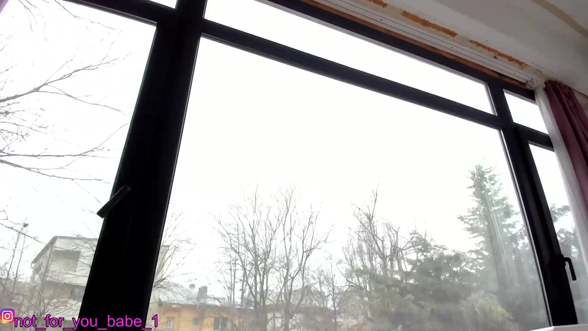 Gallery image thumbnail from m1ss_Ariana's myfreecams stream on, 03/08/2024, 12:26 image 11 of 20