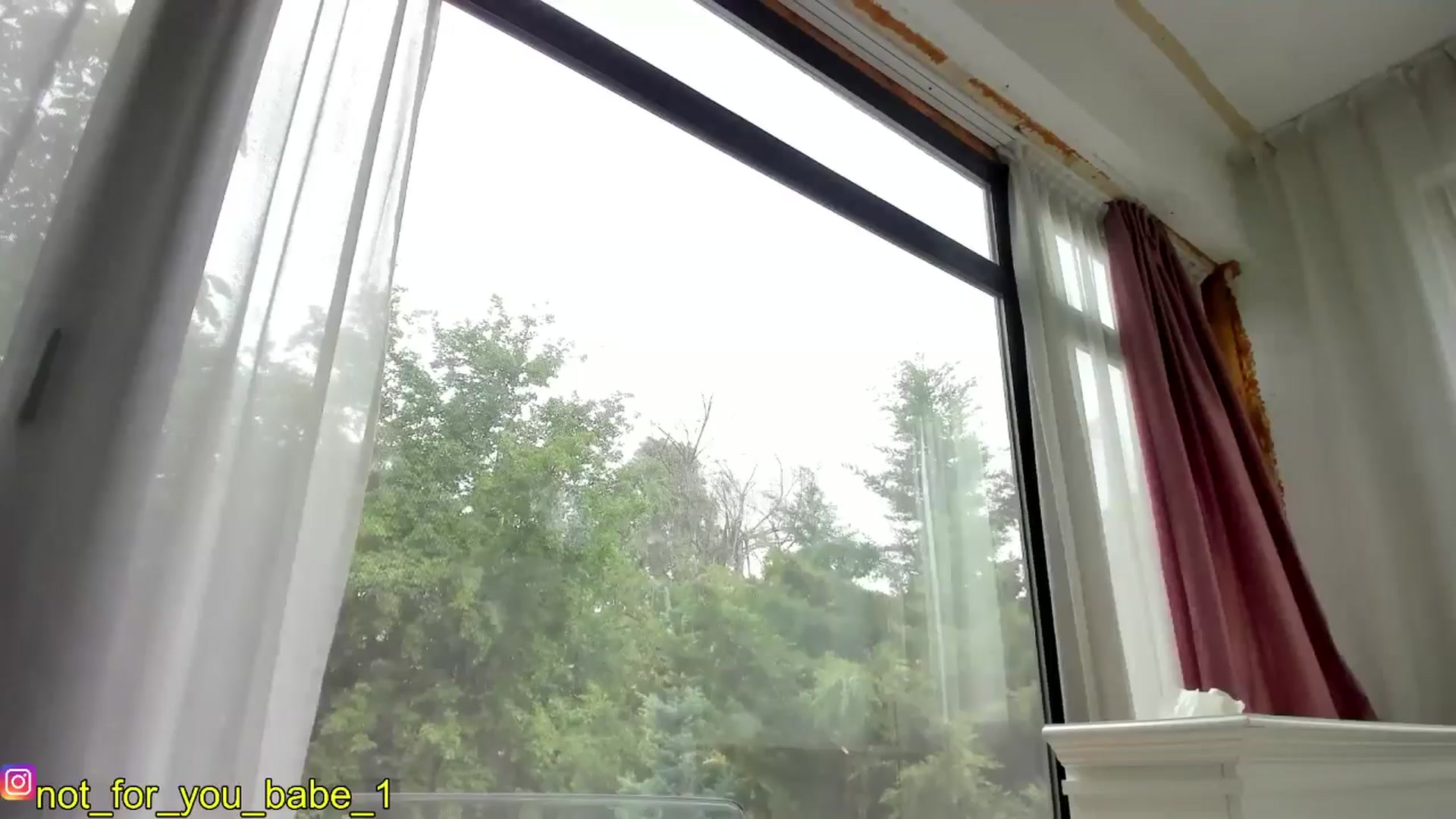 Gallery image thumbnail from m1ss_Ariana's myfreecams stream on, 05/17/2024, 10:37 image 18 of 20
