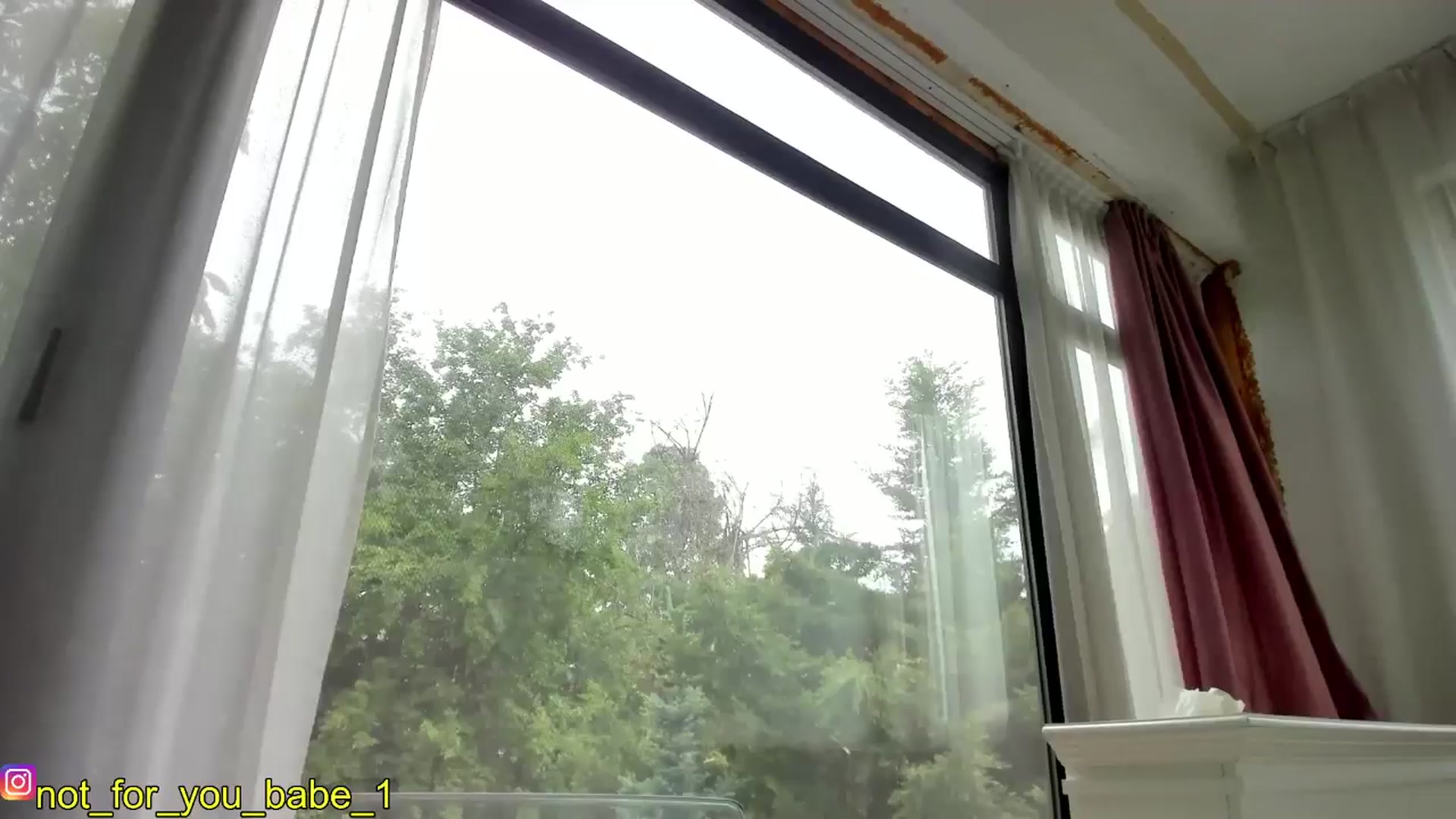 Gallery image thumbnail from m1ss_Ariana's myfreecams stream on, 05/17/2024, 10:37 image 17 of 20