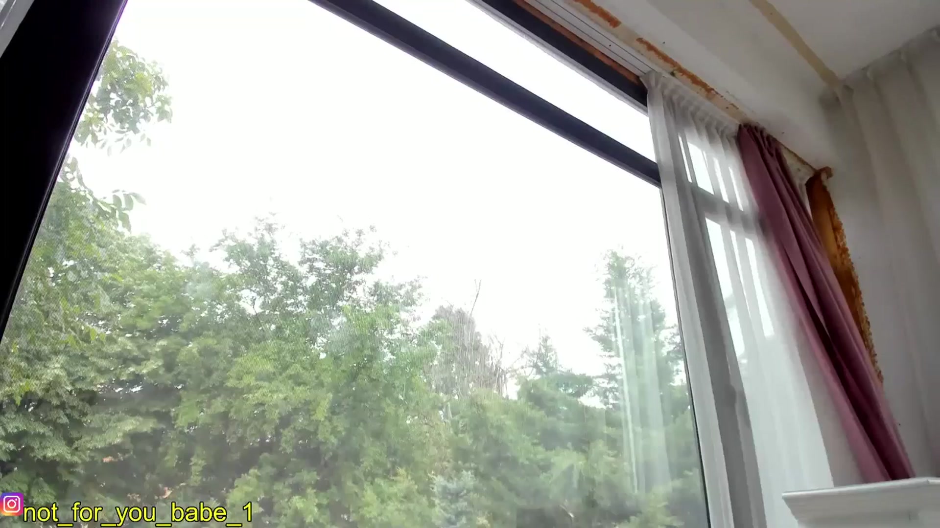 Gallery image thumbnail from m1ss_Ariana's myfreecams stream on, 05/18/2024, 08:21 image 5 of 20
