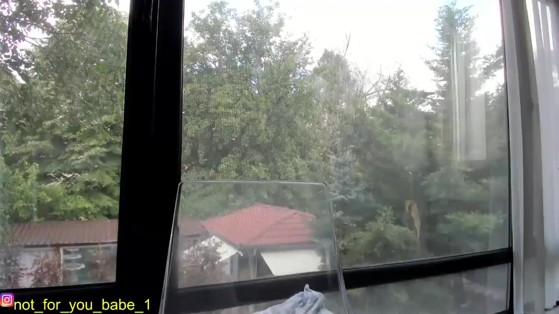 Gallery image thumbnail from m1ss_Ariana's myfreecams stream on, 05/30/2024, 09:02 image 8 of 20