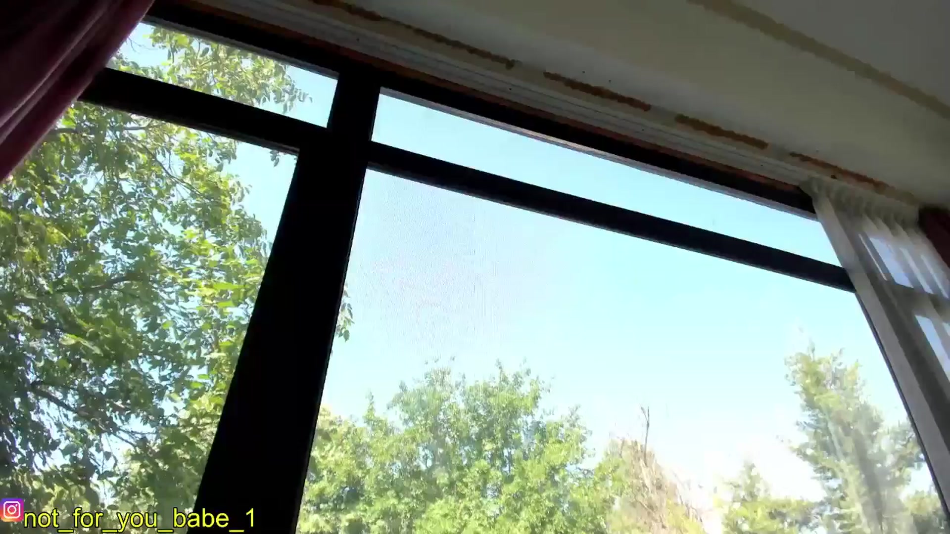Gallery image thumbnail from m1ss_Ariana's myfreecams stream on, 05/31/2024, 09:19 image 5 of 20