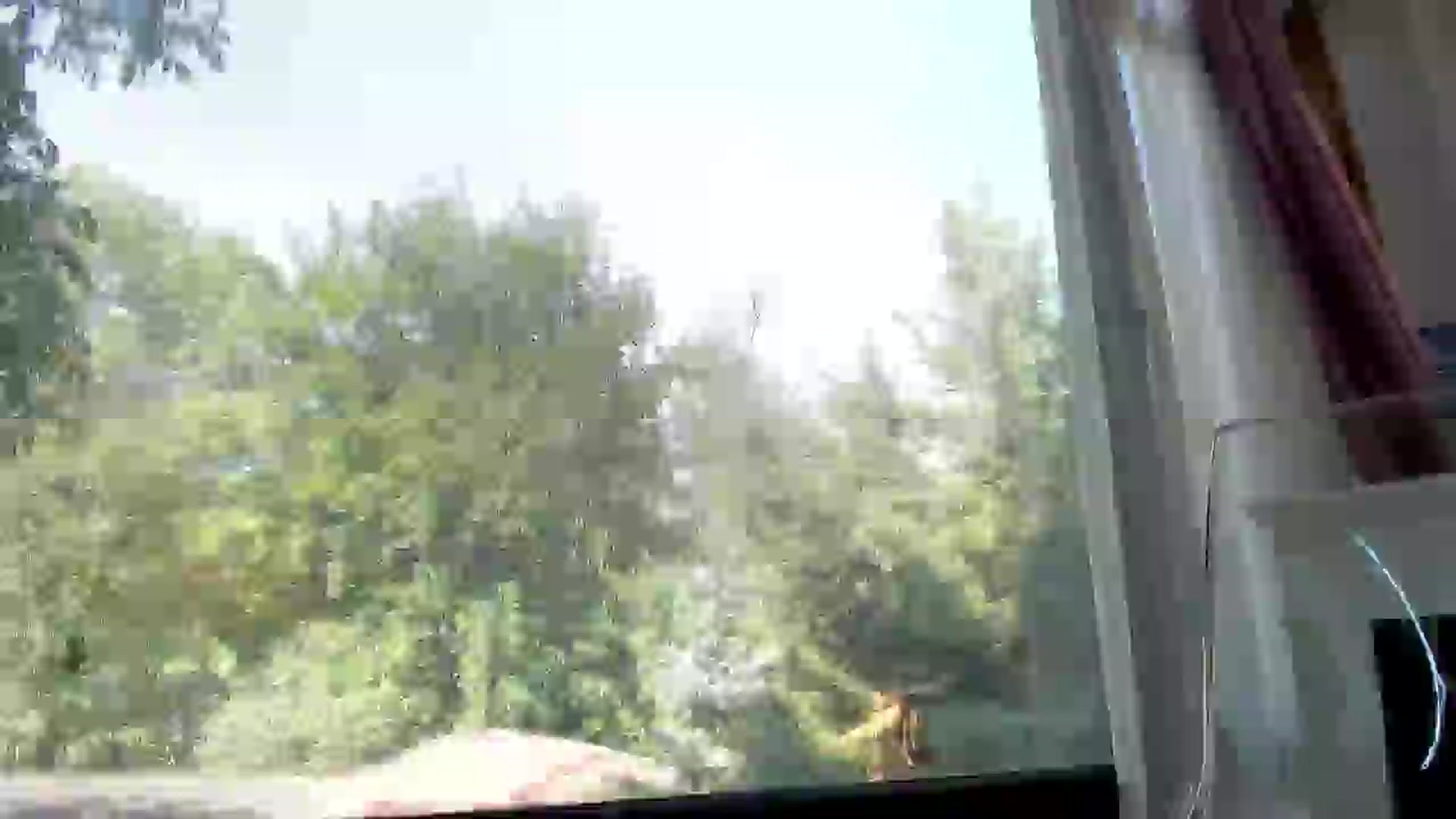 Gallery image thumbnail from m1ss_Ariana's myfreecams stream on, 09/05/2024, 11:50 image 5 of 20