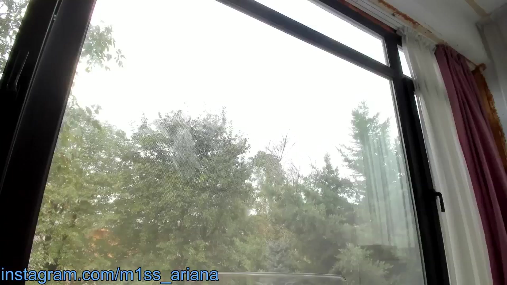 Gallery image thumbnail from m1ss_Ariana's myfreecams stream on, 10/16/2024, 10:22 image 12 of 20