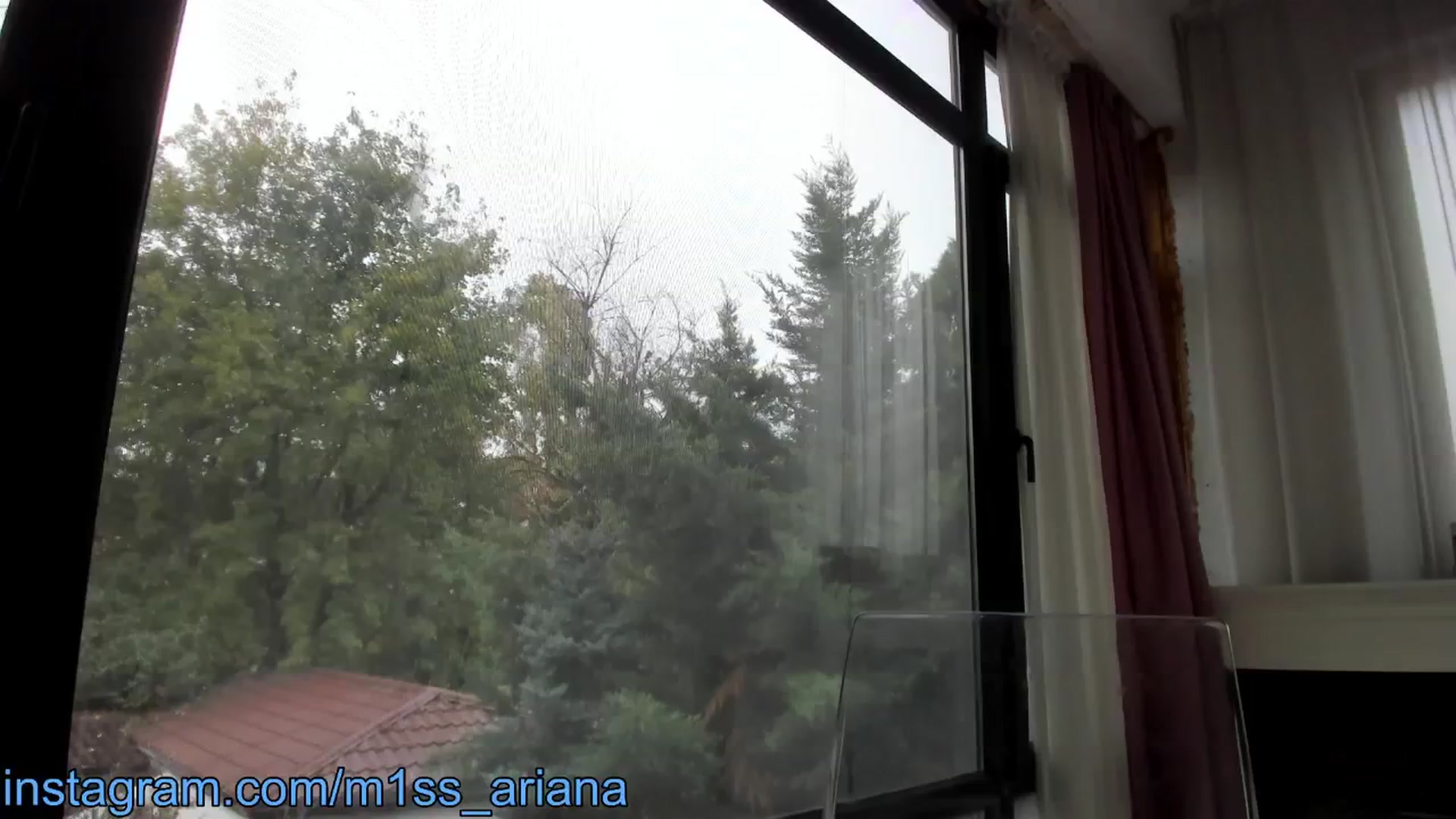 Gallery image thumbnail from m1ss_Ariana's myfreecams stream on, 11/11/2024, 11:59 image 16 of 20