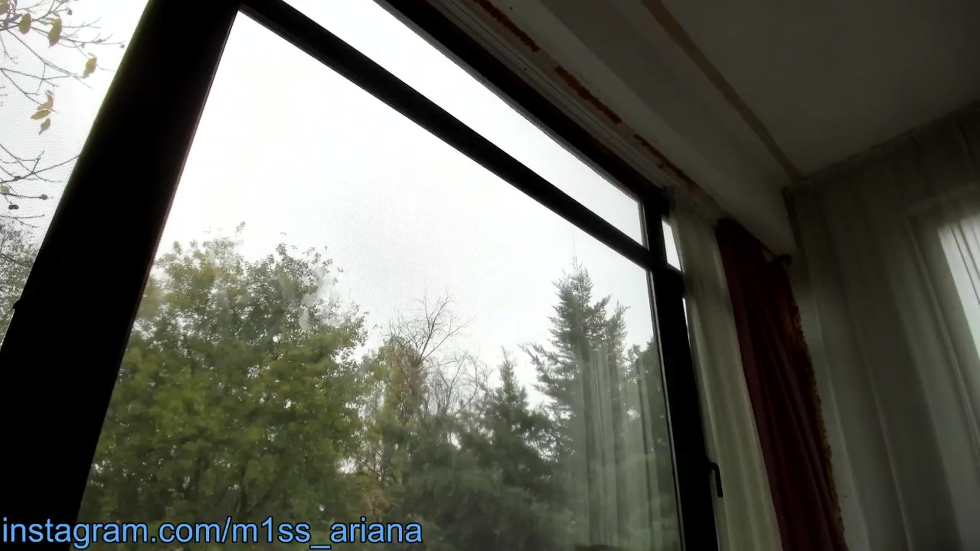 Gallery image thumbnail from m1ss_Ariana's myfreecams stream on, 11/13/2024, 13:04 image 16 of 20