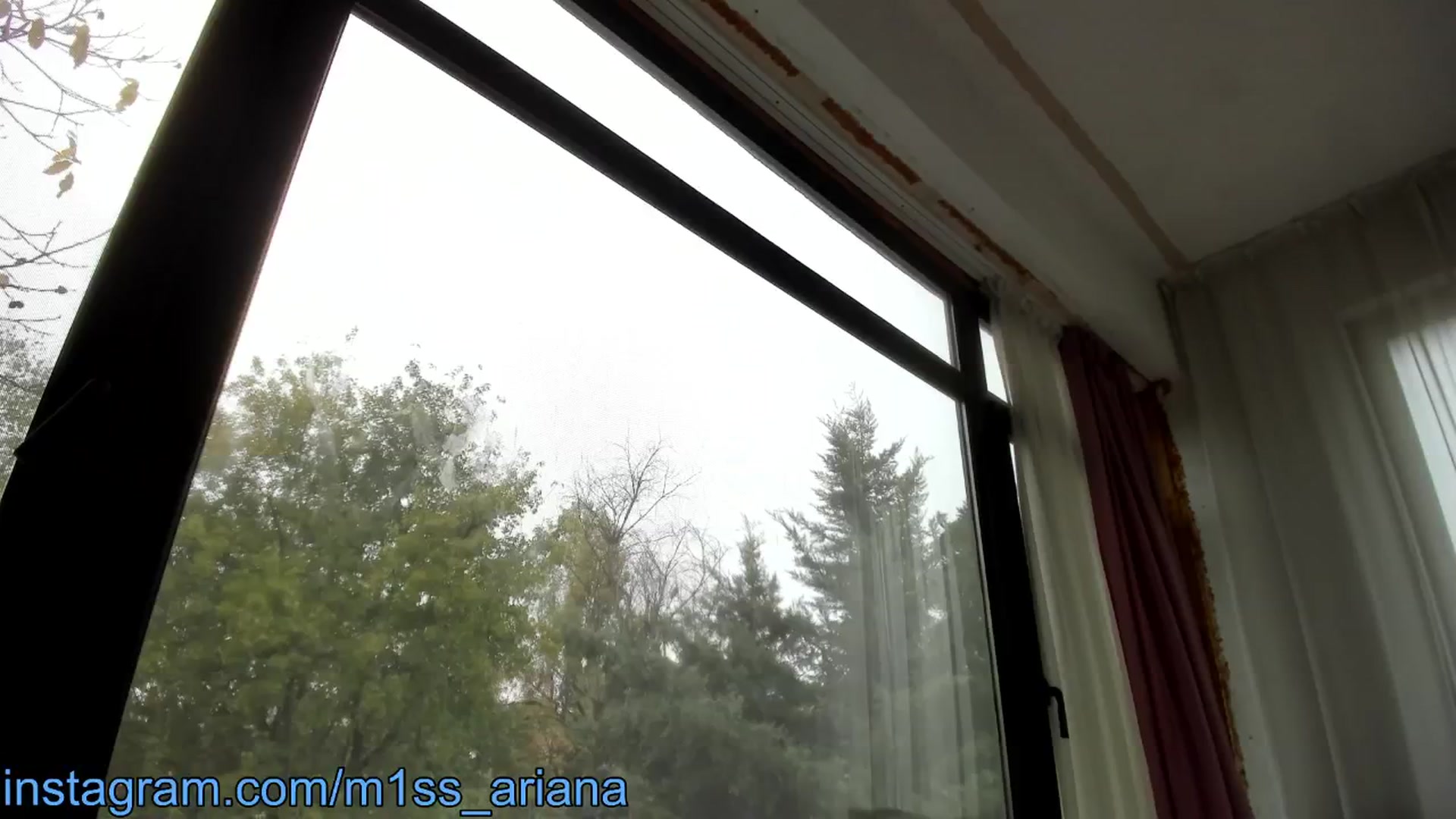 Gallery image thumbnail from m1ss_Ariana's myfreecams stream on, 11/13/2024, 13:04 image 15 of 20