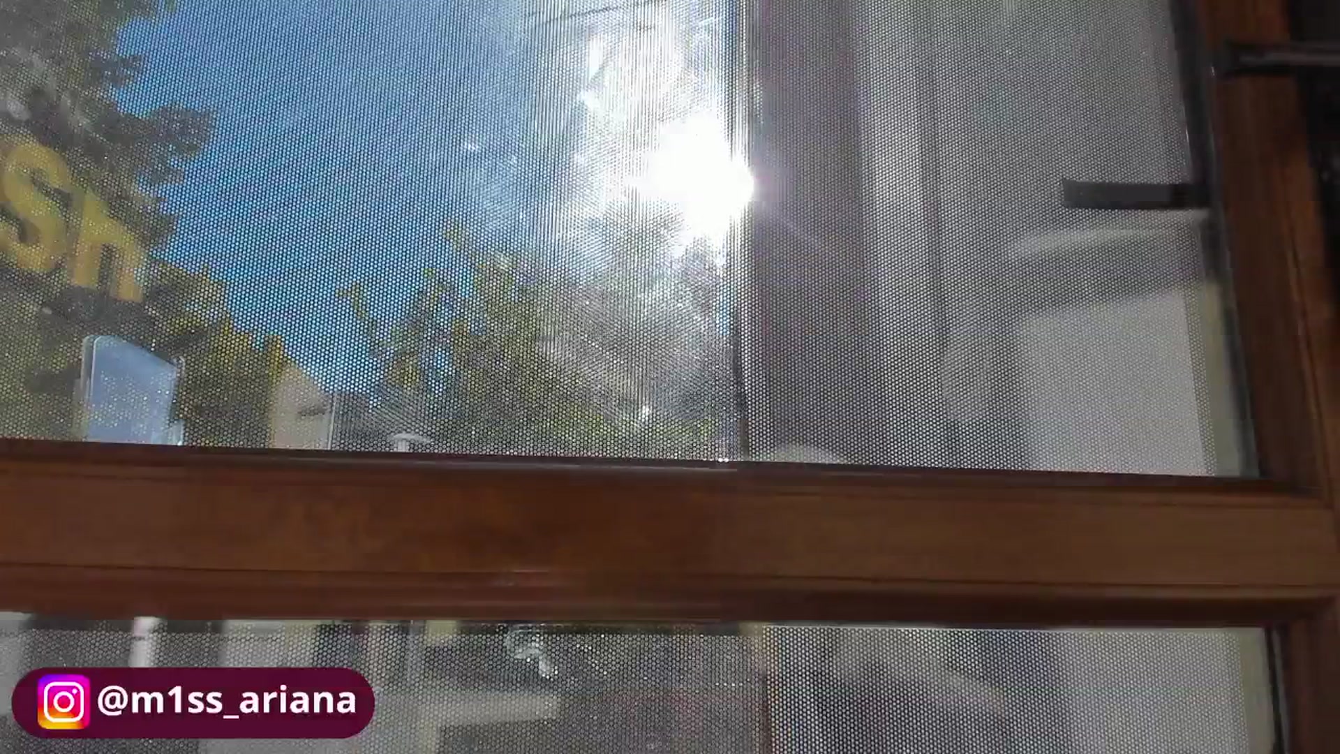 Gallery image thumbnail from m1ss_Ariana's myfreecams stream on, 10/29/2025, 12:10 image 3 of 20