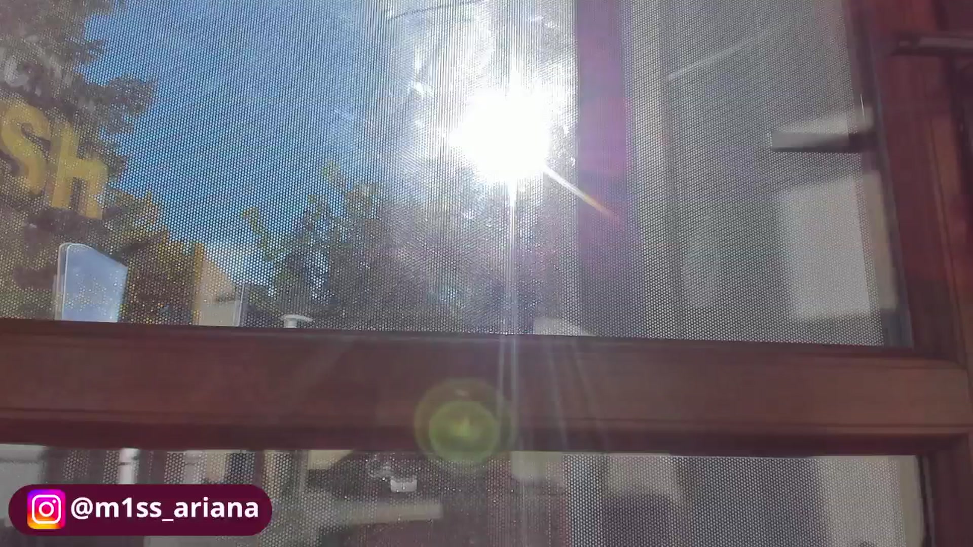 Gallery image thumbnail from m1ss_Ariana's myfreecams stream on, 10/29/2025, 12:10 image 15 of 20