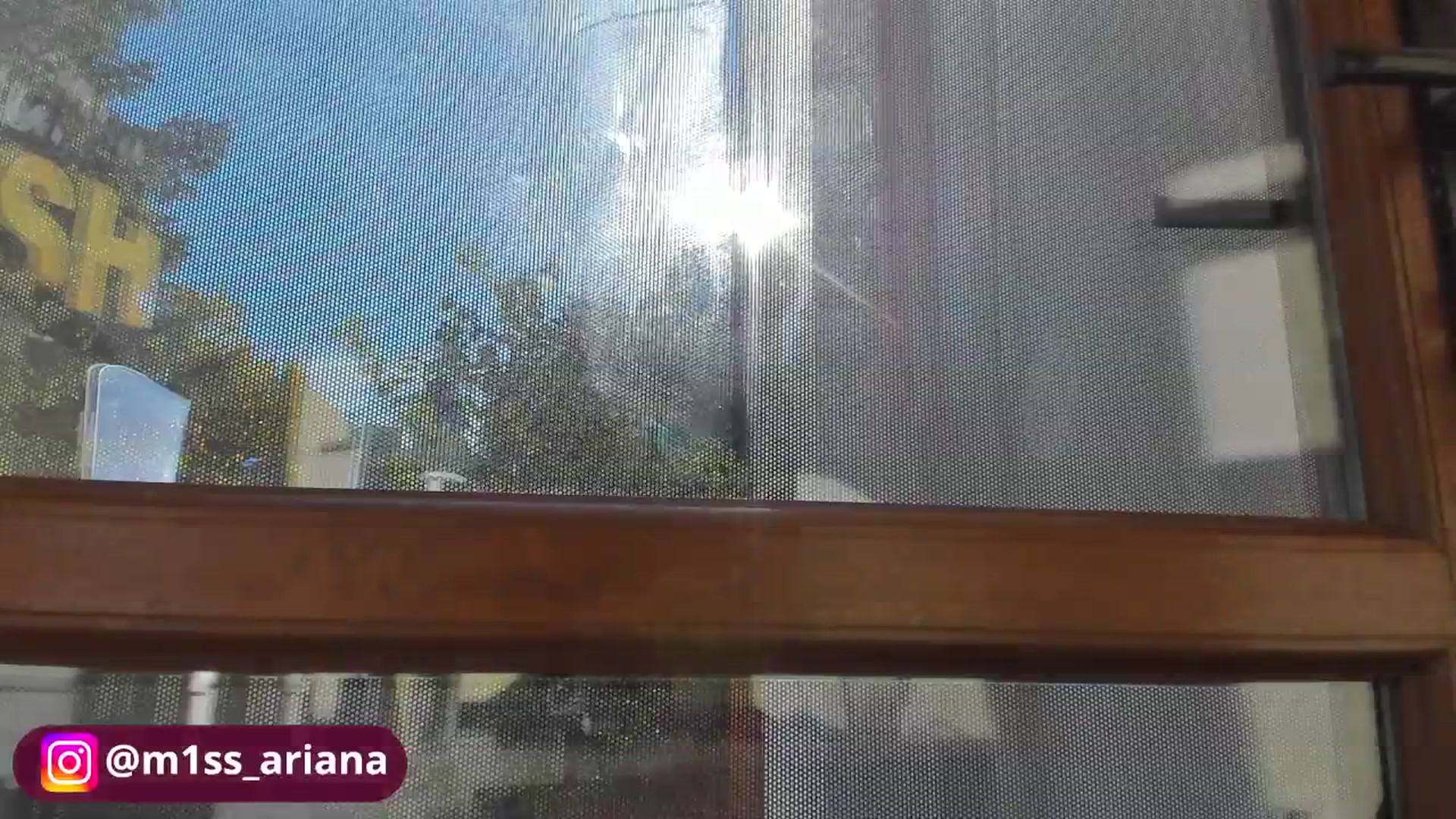 Gallery image thumbnail from m1ss_Ariana's myfreecams stream on, 10/29/2025, 12:10 image 19 of 20