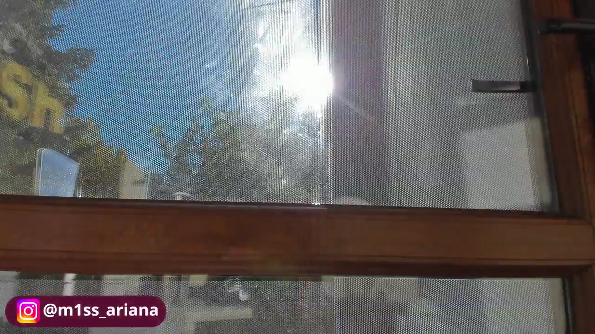 Gallery image thumbnail from m1ss_Ariana's myfreecams stream on, 10/29/2025, 12:10 image 7 of 20