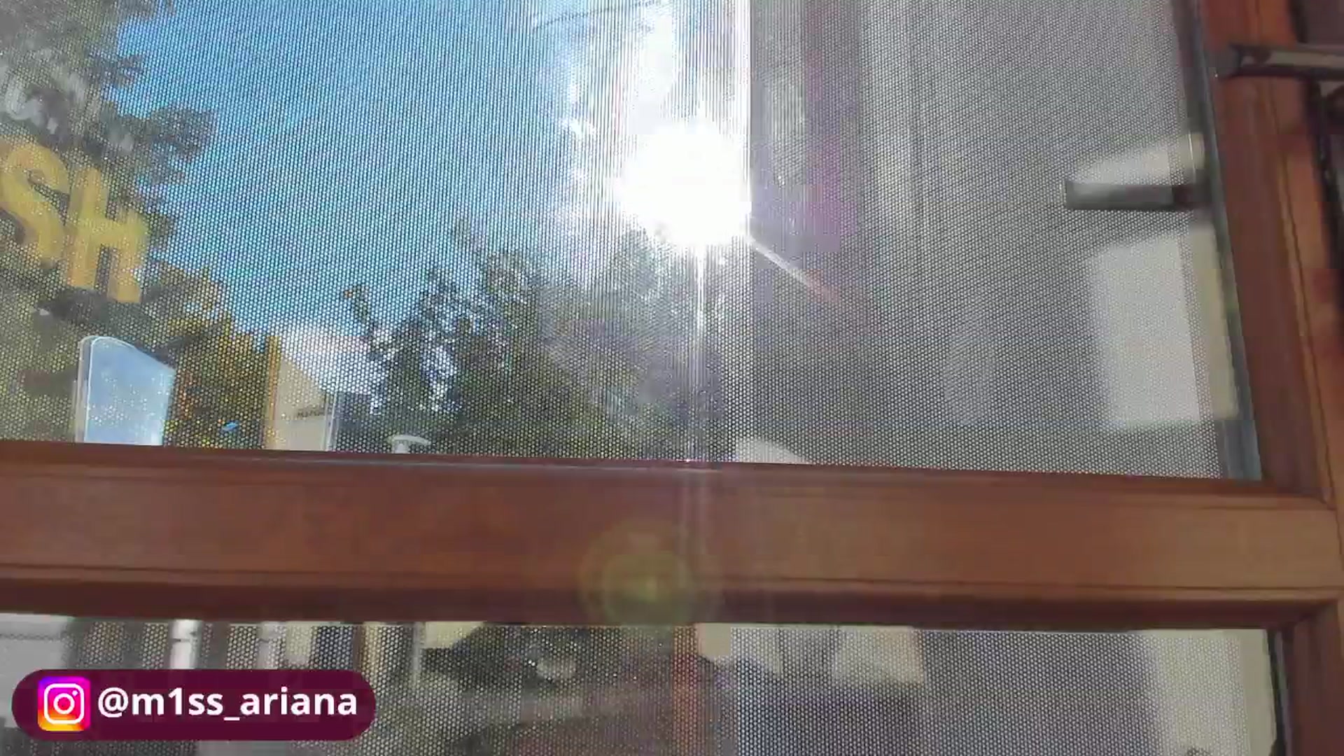 Gallery image thumbnail from m1ss_Ariana's myfreecams stream on, 10/29/2025, 12:10 image 18 of 20
