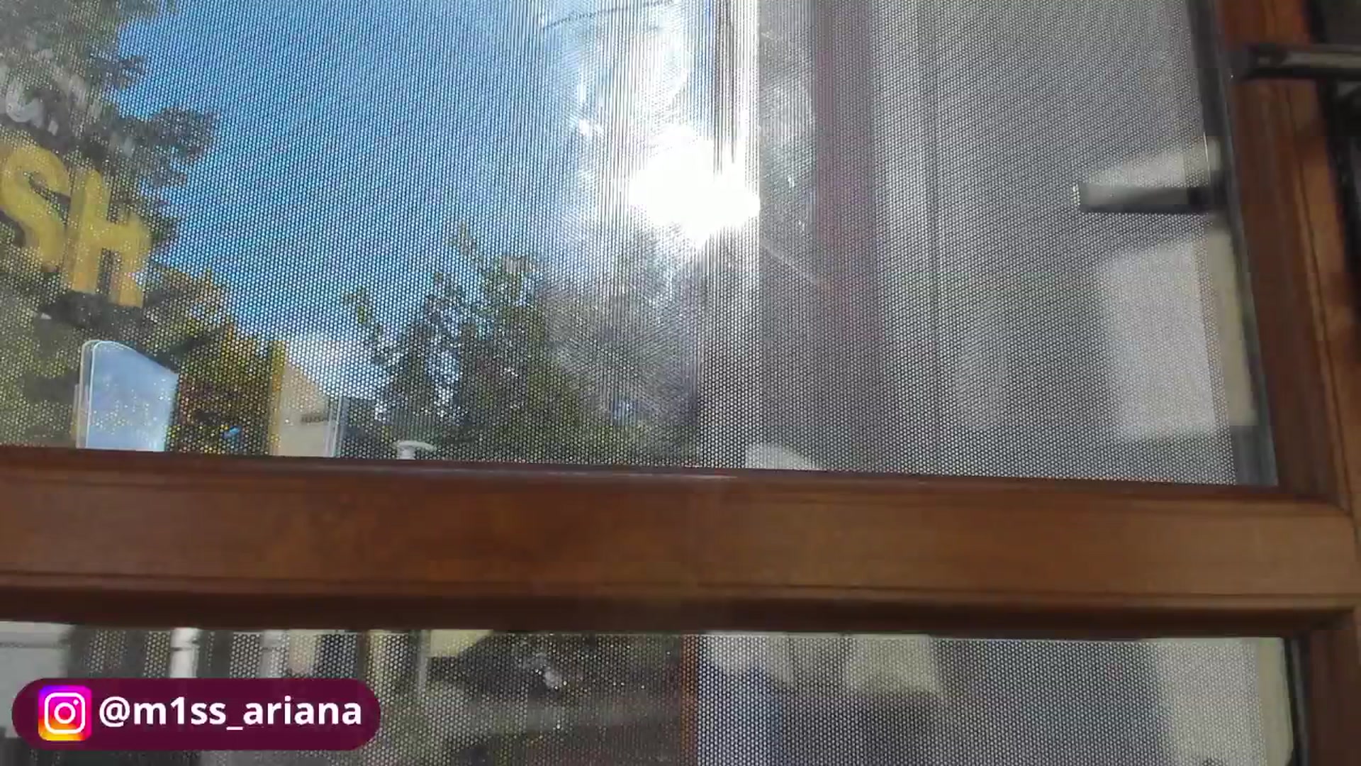 Gallery image thumbnail from m1ss_Ariana's myfreecams stream on, 10/29/2025, 12:10 image 17 of 20