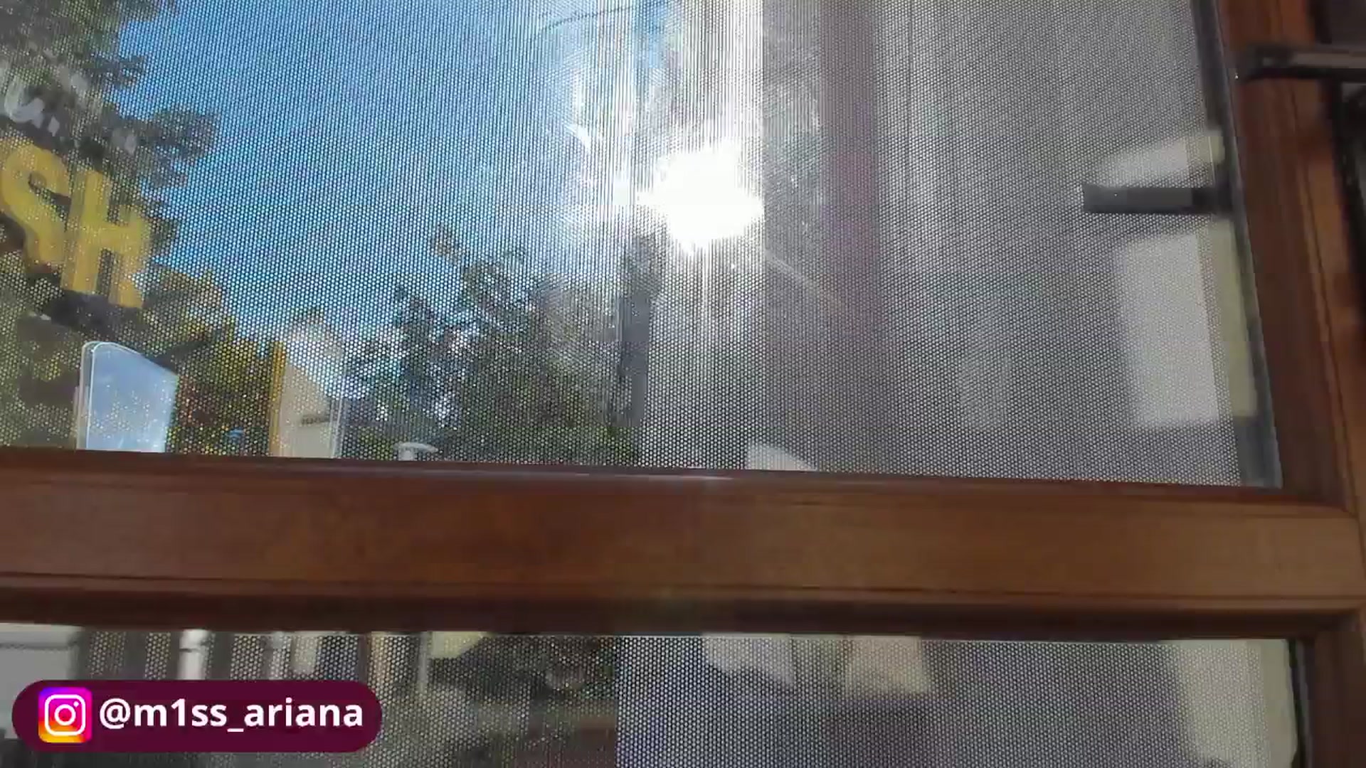 Gallery image thumbnail from m1ss_Ariana's myfreecams stream on, 10/29/2025, 12:10 image 20 of 20
