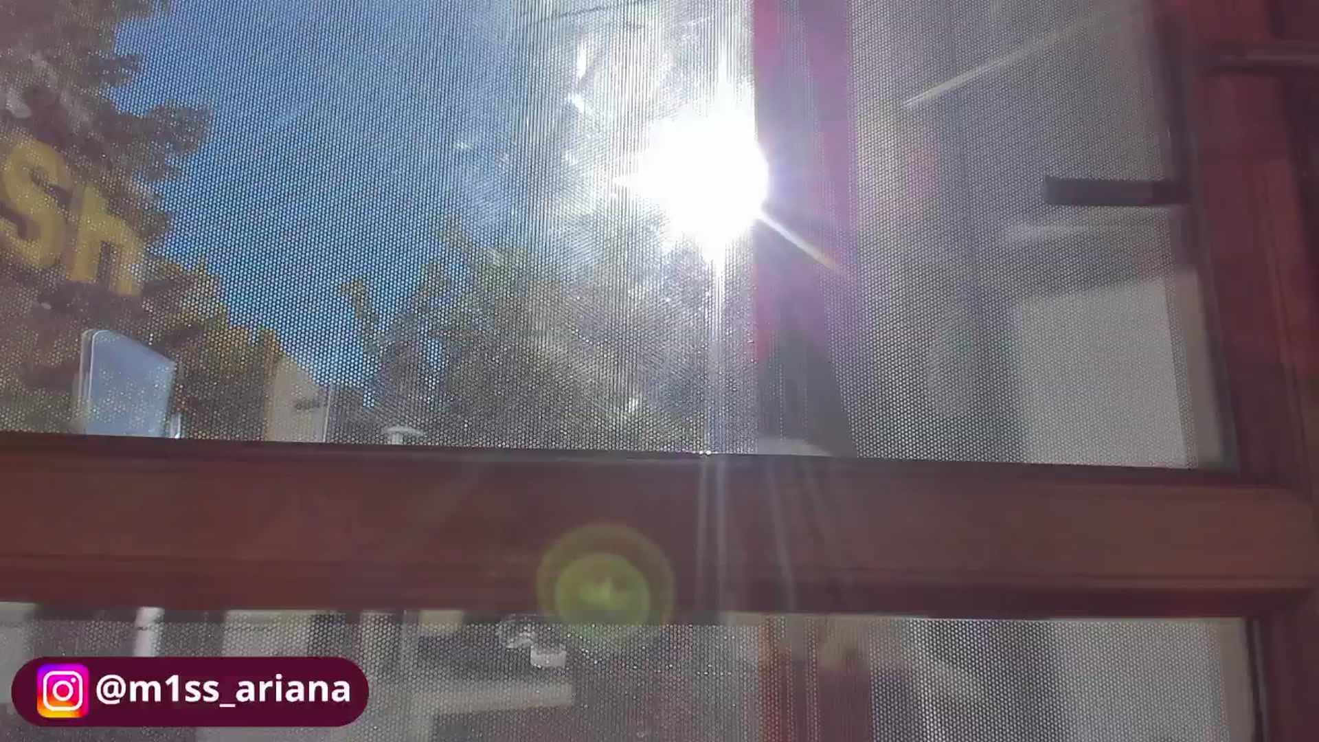 Gallery image thumbnail from m1ss_Ariana's myfreecams stream on, 10/29/2025, 12:10 image 5 of 20