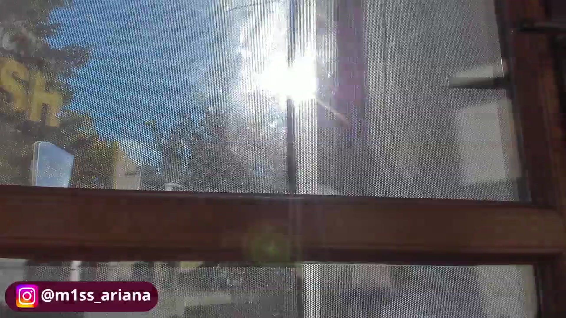 Gallery image thumbnail from m1ss_Ariana's myfreecams stream on, 10/29/2025, 12:10 image 16 of 20