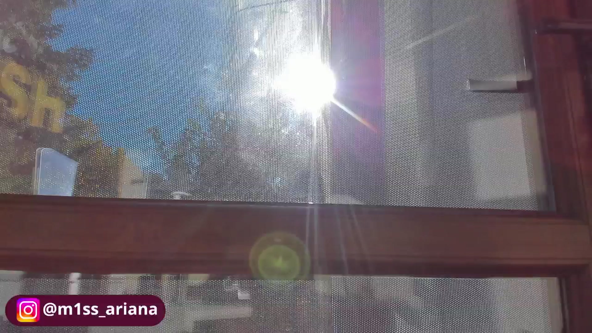 Gallery image thumbnail from m1ss_Ariana's myfreecams stream on, 10/29/2025, 12:10 image 12 of 20