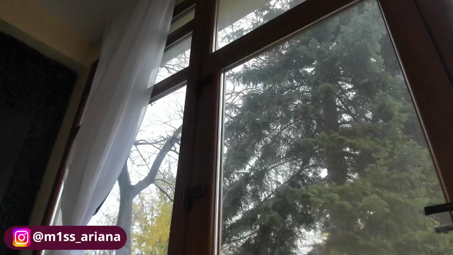 Gallery image thumbnail from m1ss_Ariana's myfreecams stream on, 11/27/2025, 13:50 image 10 of 20