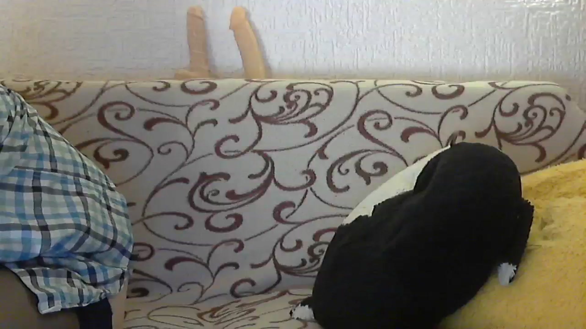 Gallery image thumbnail from makeMehappy_'s myfreecams stream on, 03/01/2024, 18:59 image 11 of 20