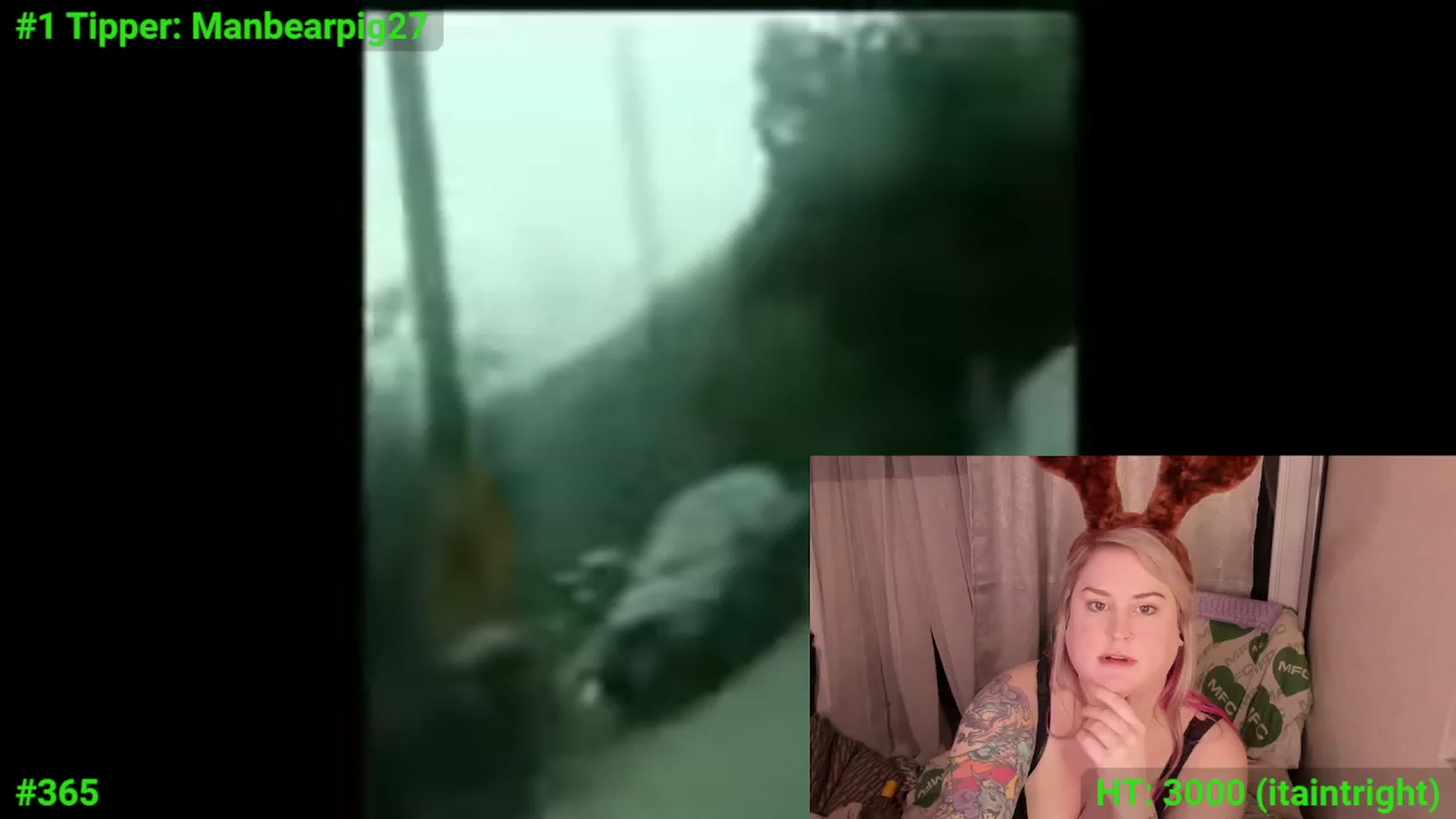 Gallery image thumbnail from mari_jae's myfreecams stream on, 12/17/2023, 09:27 image 19 of 20