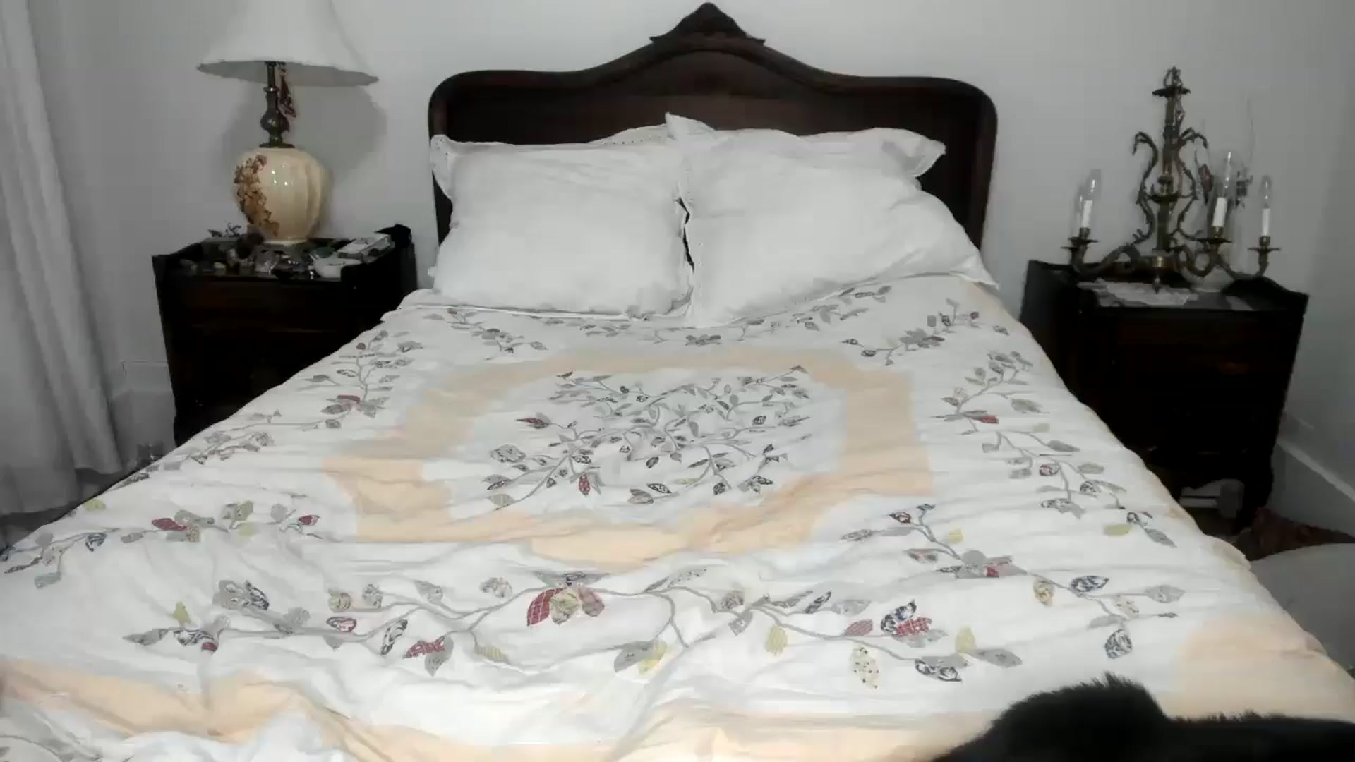 Gallery image thumbnail from marieebelle's myfreecams stream on, 02/23/2026, 09:19 image 19 of 20