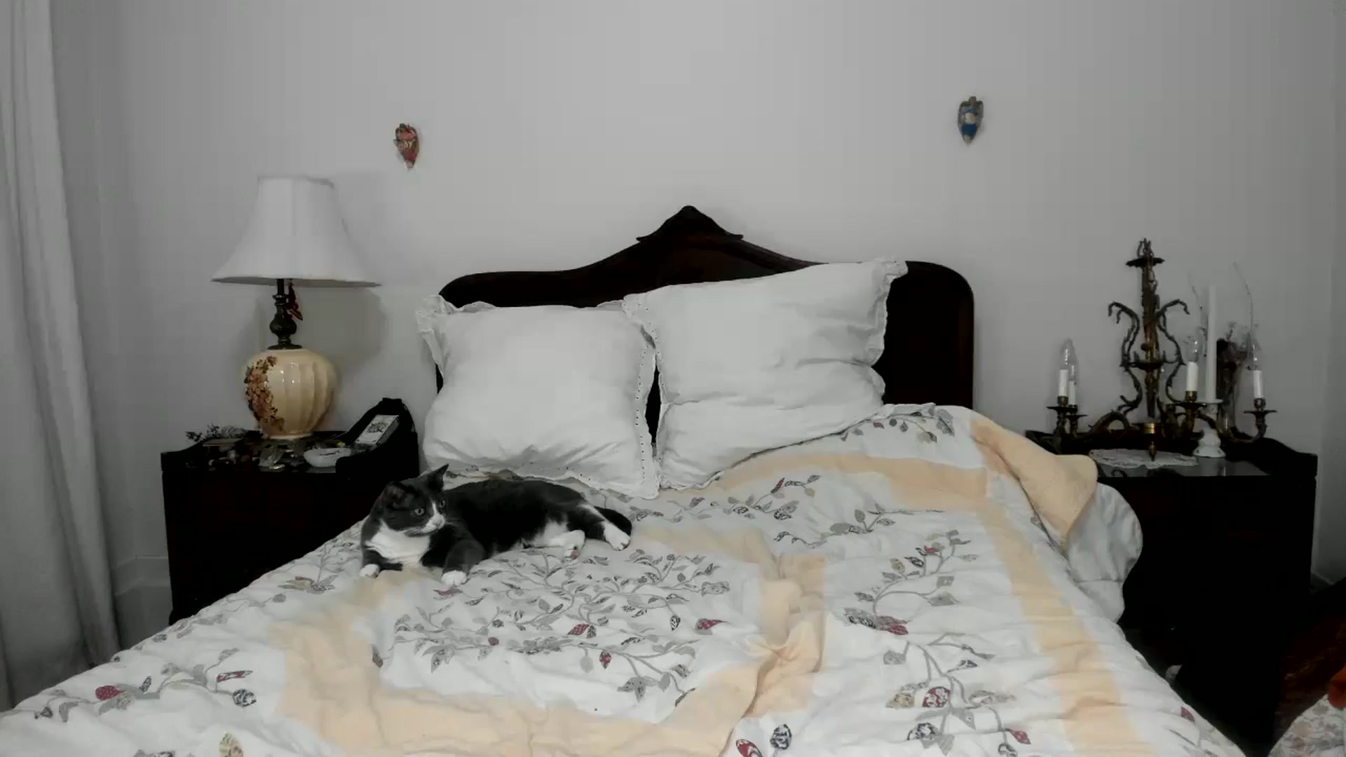 Gallery image thumbnail from marieebelle's myfreecams stream on, 04/30/2026, 09:37 image 14 of 20