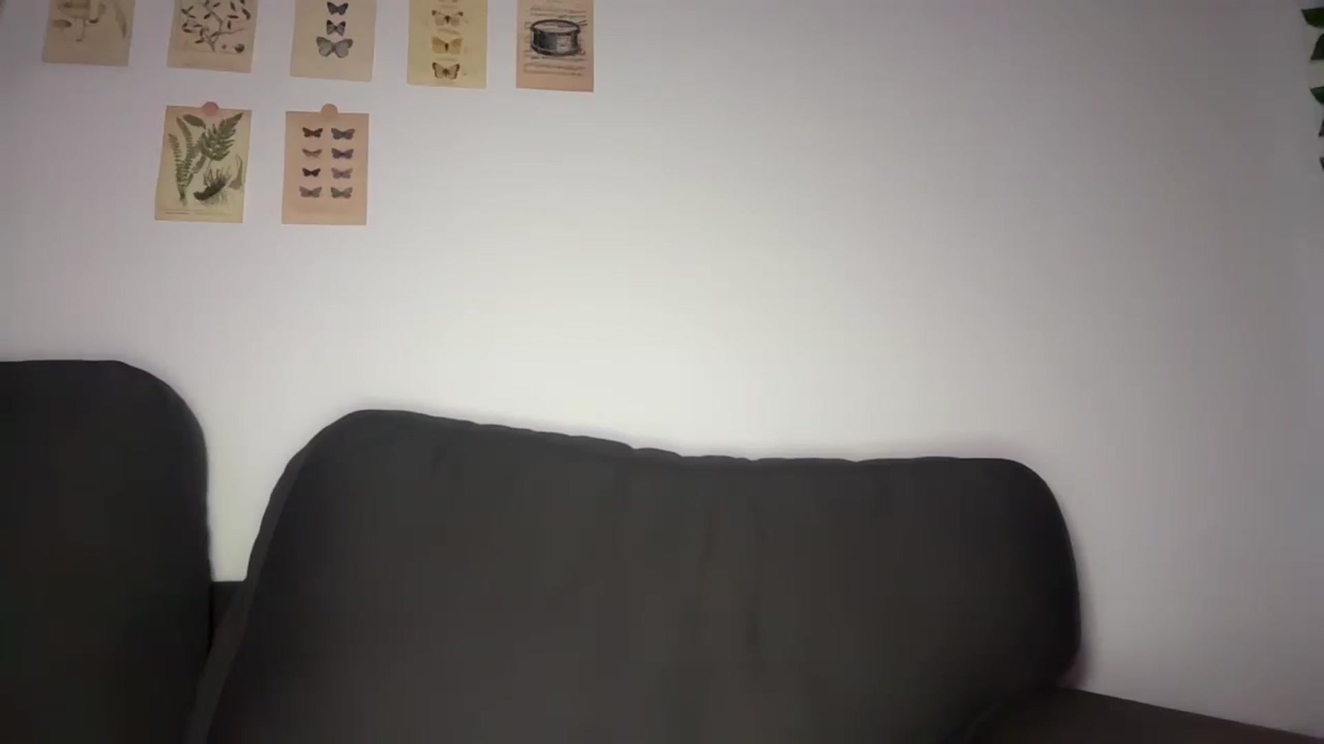 Gallery image thumbnail from mayflowers's myfreecams stream on, 03/02/2026, 05:38 image 14 of 20