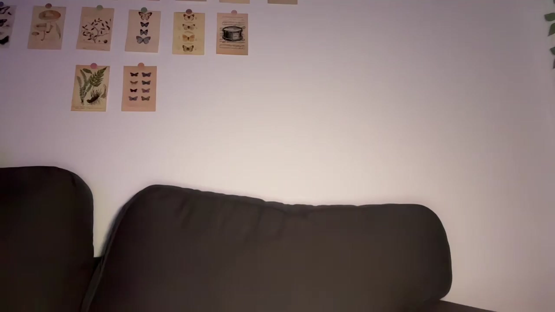 Gallery image thumbnail from mayflowers's myfreecams stream on, 06/14/2026, 03:36 image 1 of 20