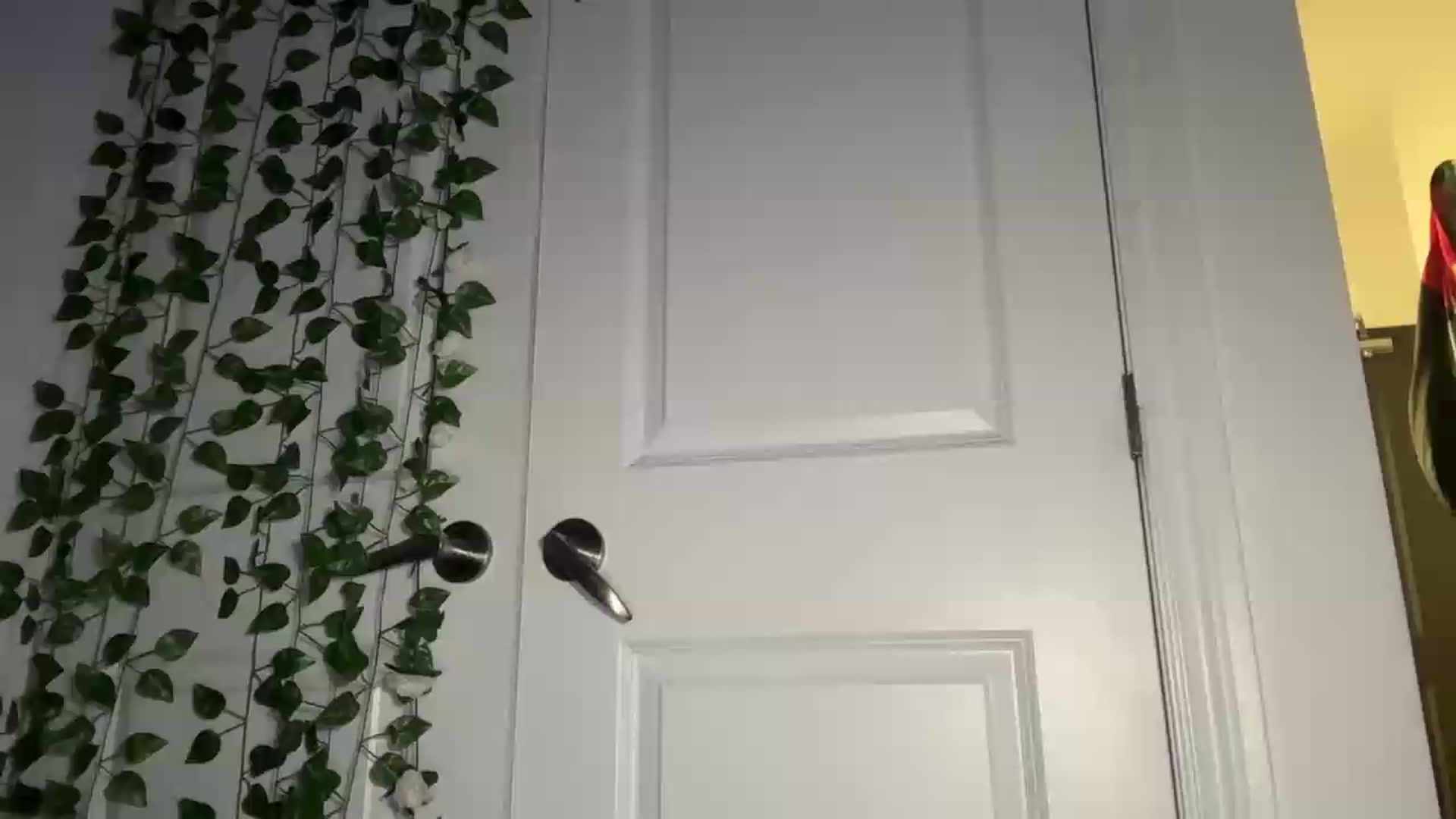Gallery image thumbnail from mayflowers's myfreecams stream on, 06/14/2026, 03:36 image 16 of 20
