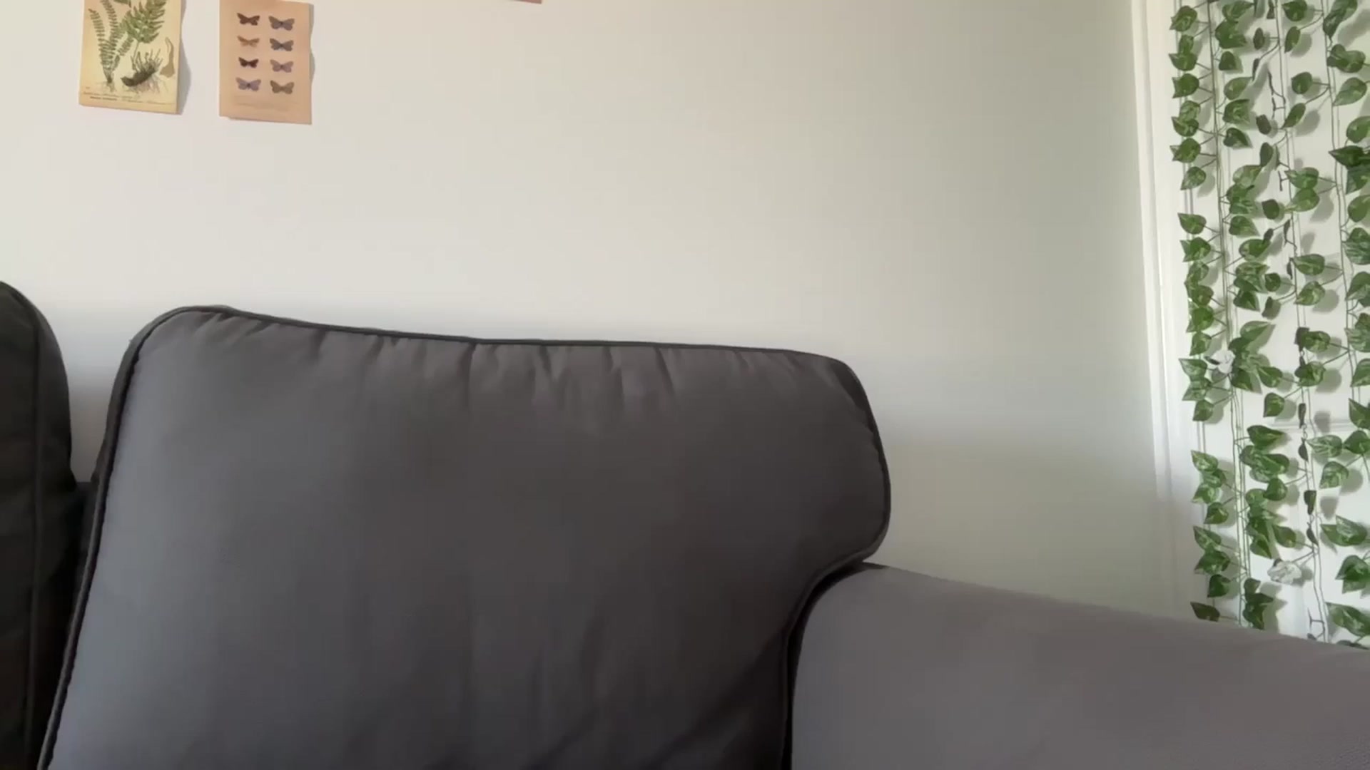 Gallery image thumbnail from mayflowwer's myfreecams stream on, 07/14/2024, 22:56 image 3 of 20