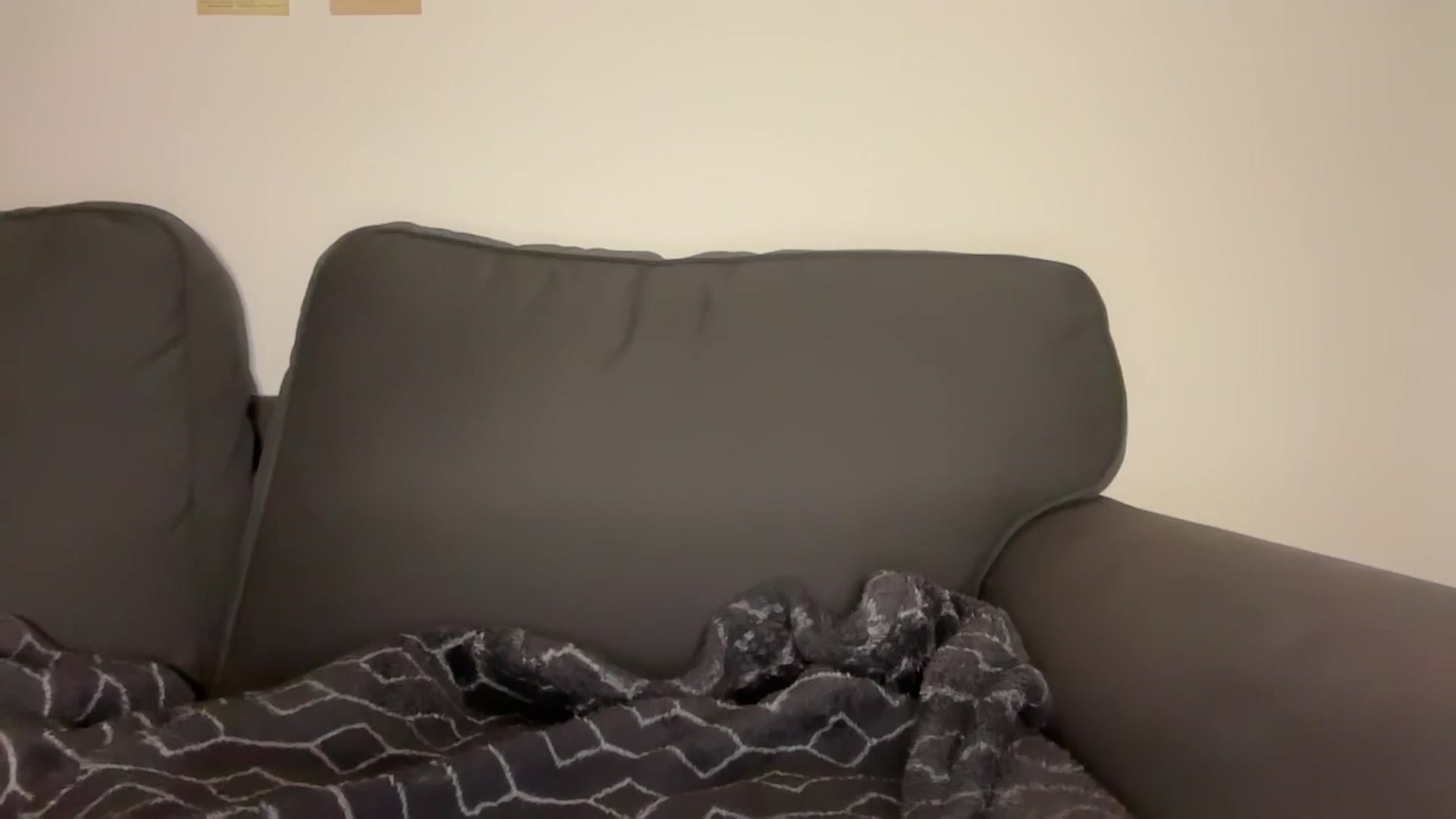 Gallery image thumbnail from mayflowwer's myfreecams stream on, 12/28/2024, 24:51 image 5 of 20