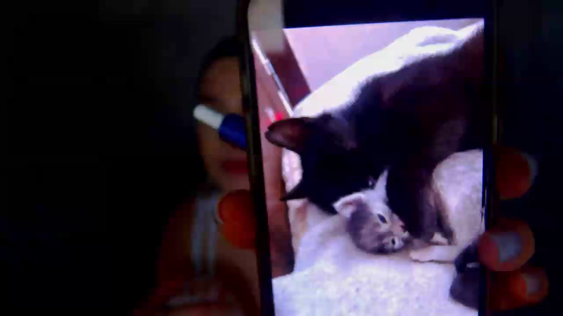 Gallery image thumbnail from meliiis_'s myfreecams stream on, 05/07/2026, 18:25 image 1 of 20