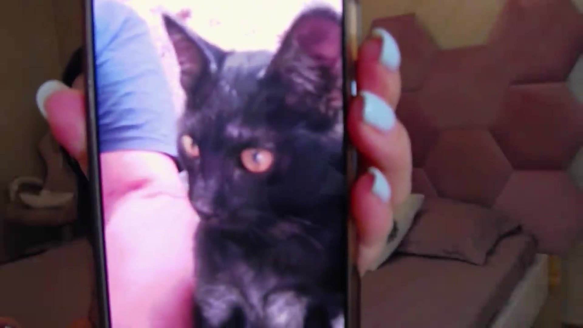 Gallery image thumbnail from meliiis_'s myfreecams stream on, 08/26/2026, 18:21 image 20 of 20