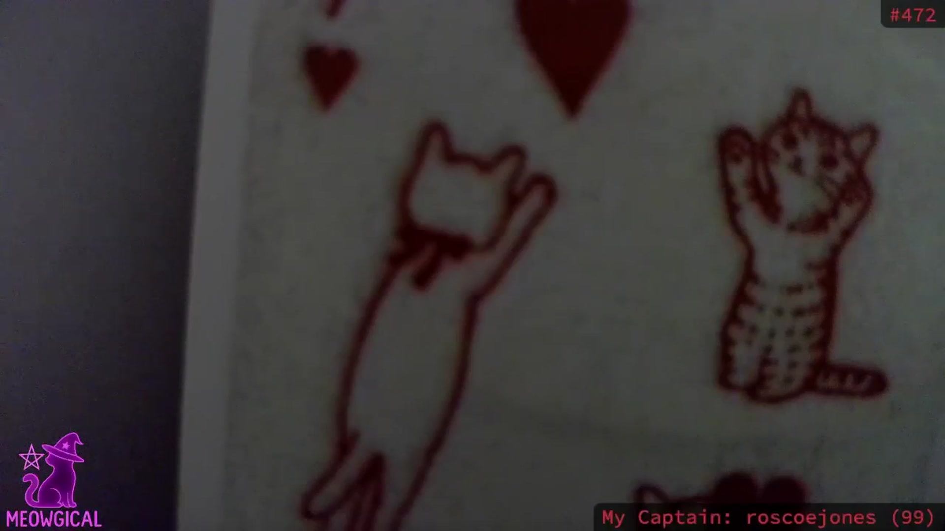 Gallery image thumbnail from meowgical's myfreecams stream on, 10/26/2025, 01:24 image 16 of 20