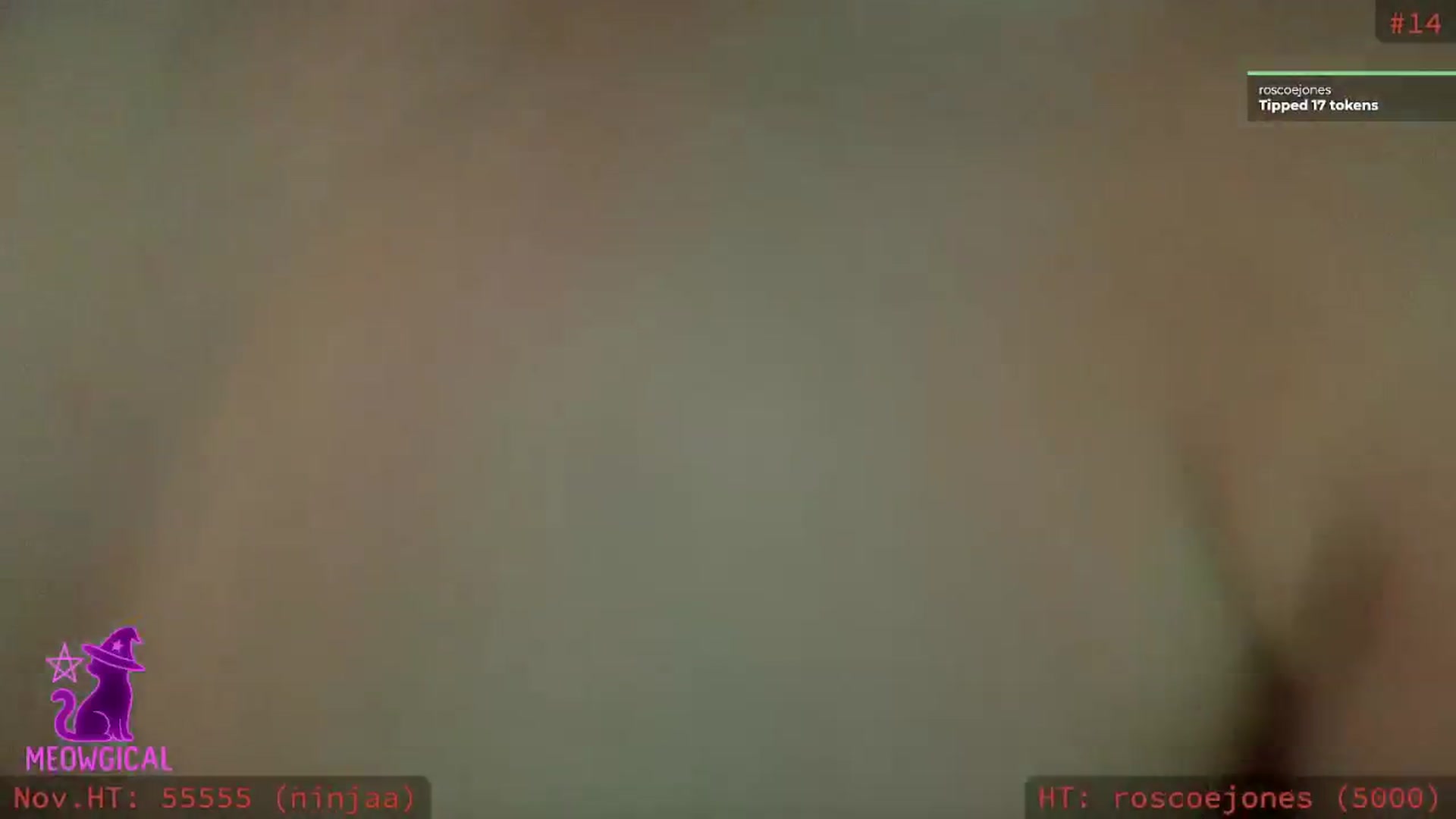 Gallery image thumbnail from meowgical's myfreecams stream on, 11/06/2025, 06:17 image 15 of 20