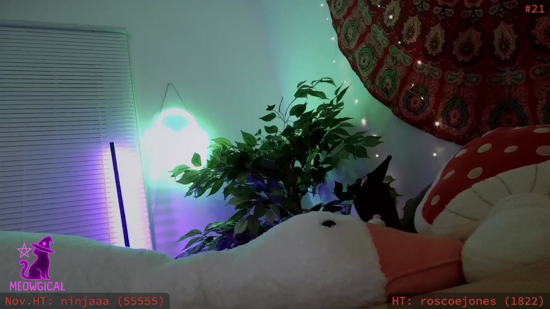 Gallery image thumbnail from meowgical's myfreecams stream on, 11/07/2025, 09:54 image 18 of 20
