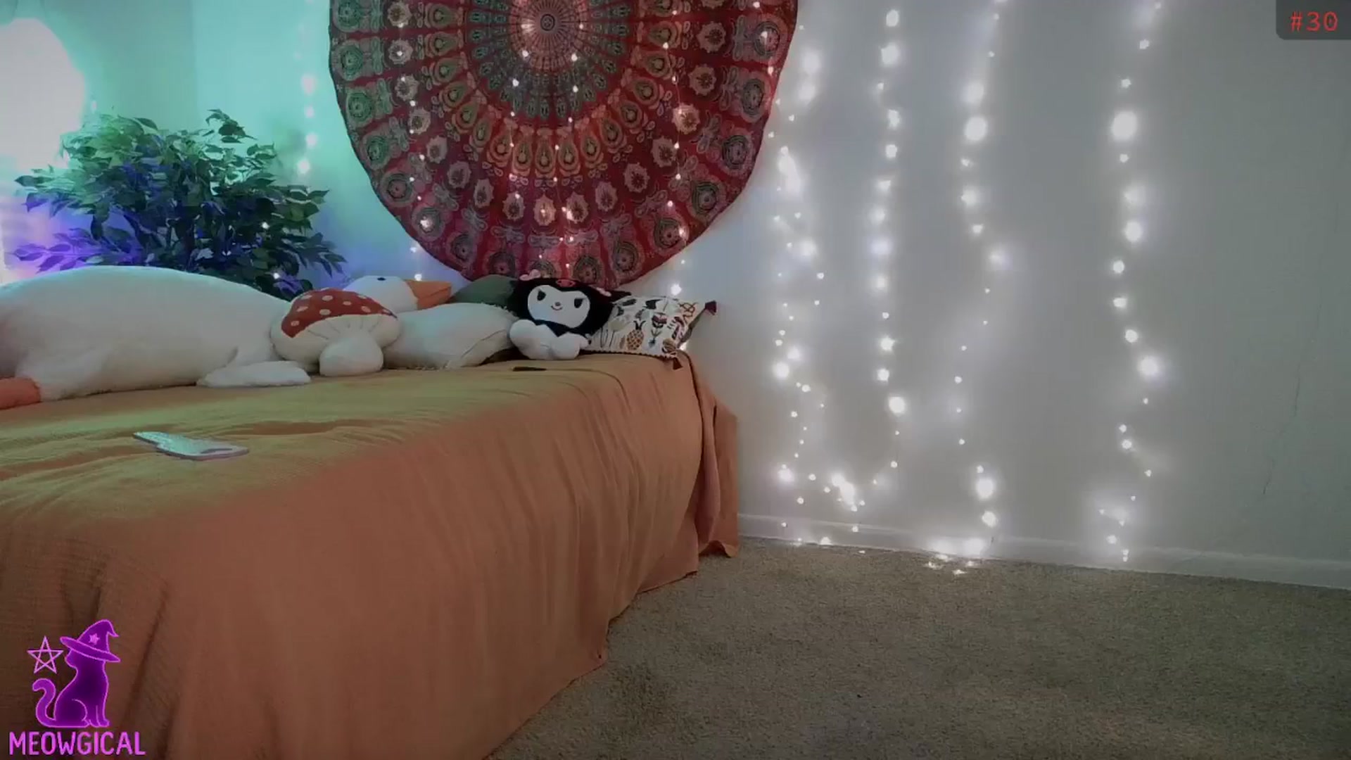 Gallery image thumbnail from meowgical's myfreecams stream on, 11/08/2025, 04:48 image 5 of 20