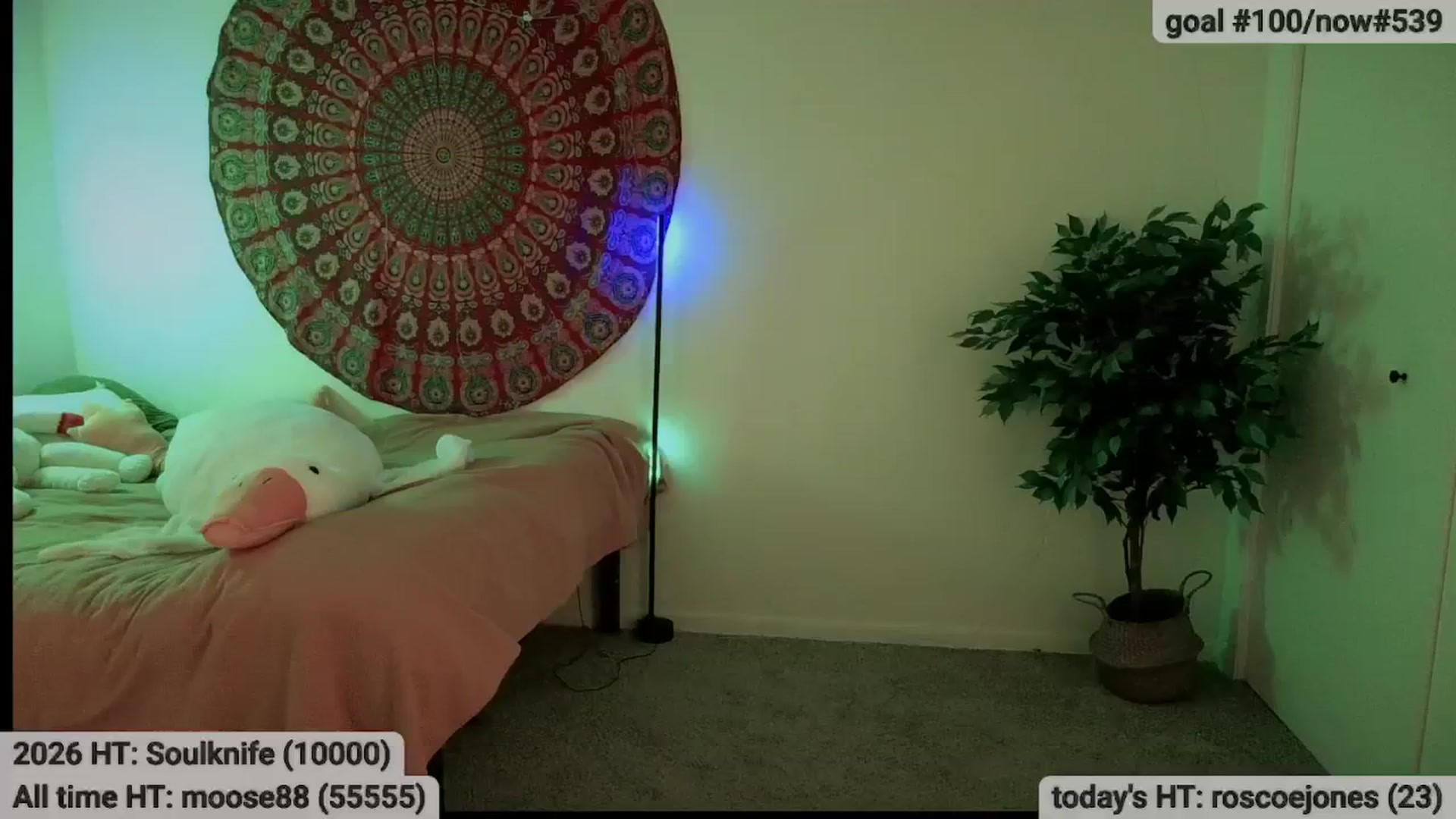 Gallery image thumbnail from meowgical's myfreecams stream on, 01/11/2026, 04:36 image 9 of 20