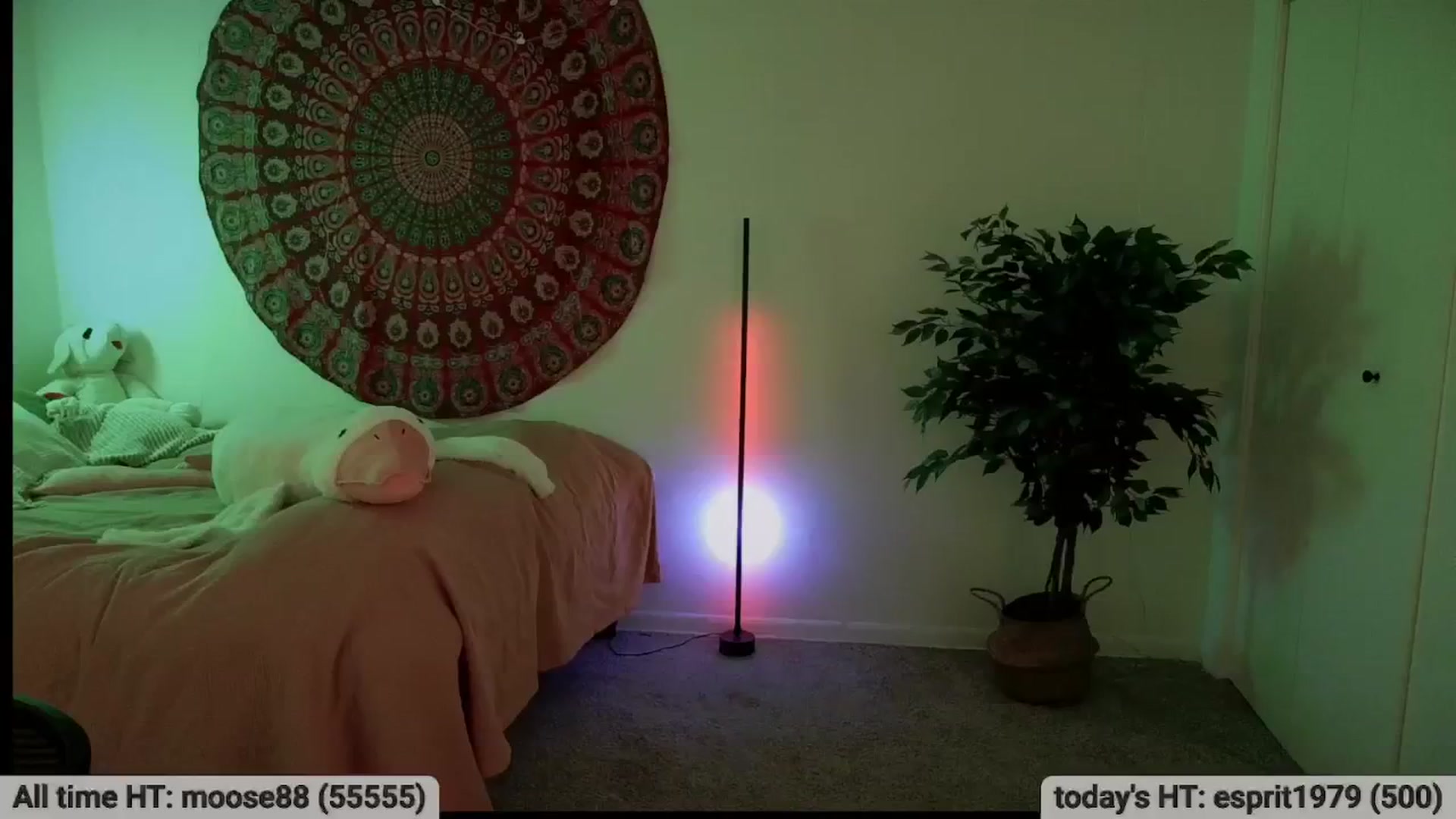 Gallery image thumbnail from meowgical's myfreecams stream on, 01/16/2026, 06:27 image 9 of 20