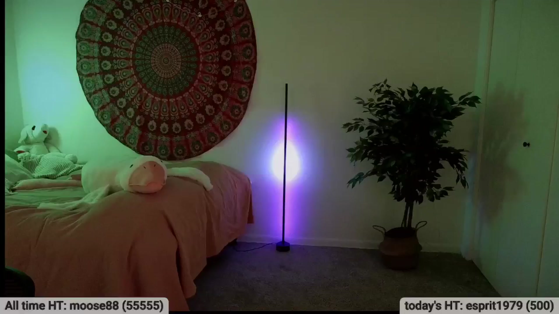 Gallery image thumbnail from meowgical's myfreecams stream on, 01/16/2026, 06:27 image 8 of 20