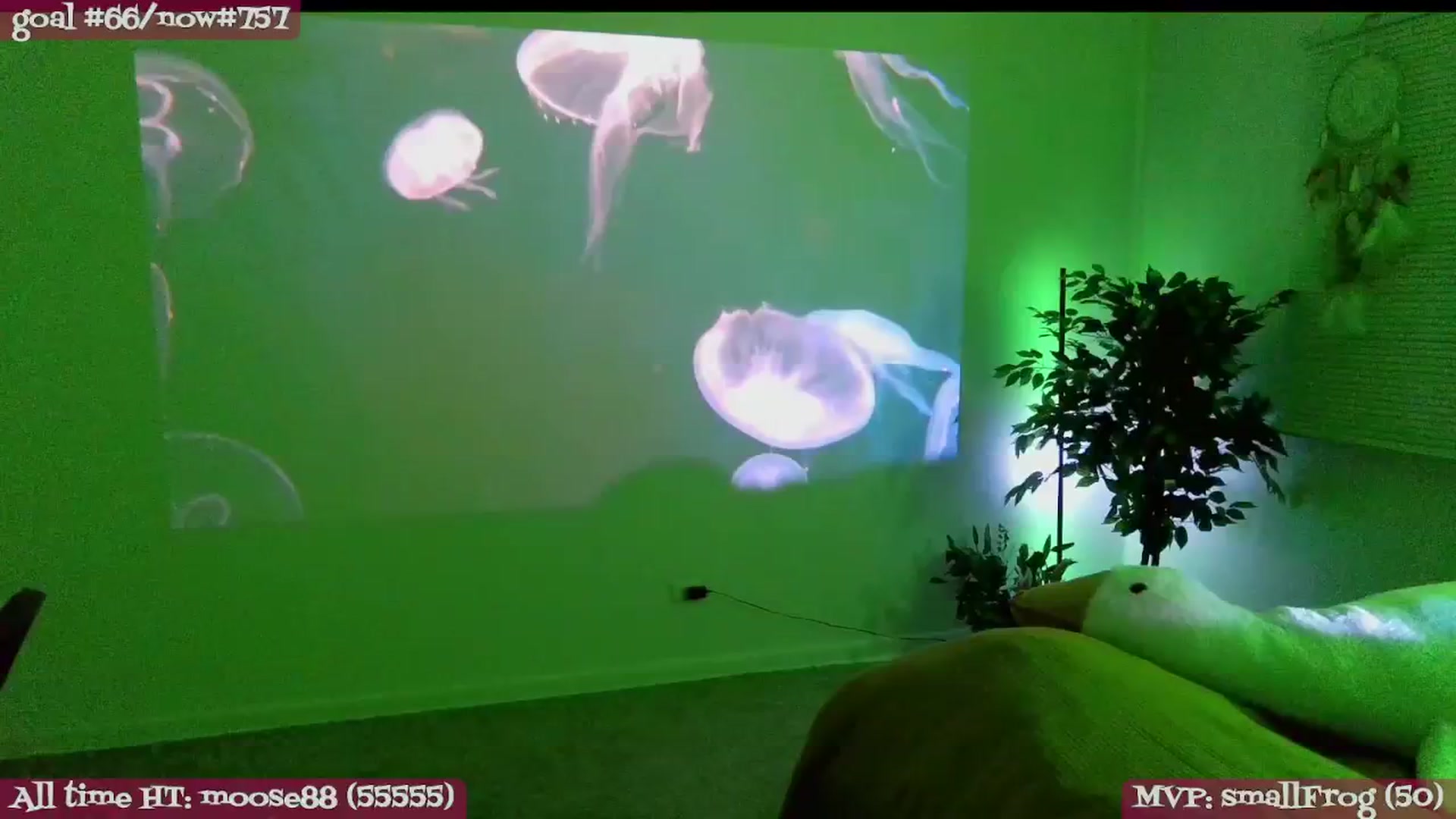 Gallery image thumbnail from meowgical's myfreecams stream on, 03/06/2026, 03:17 image 17 of 20
