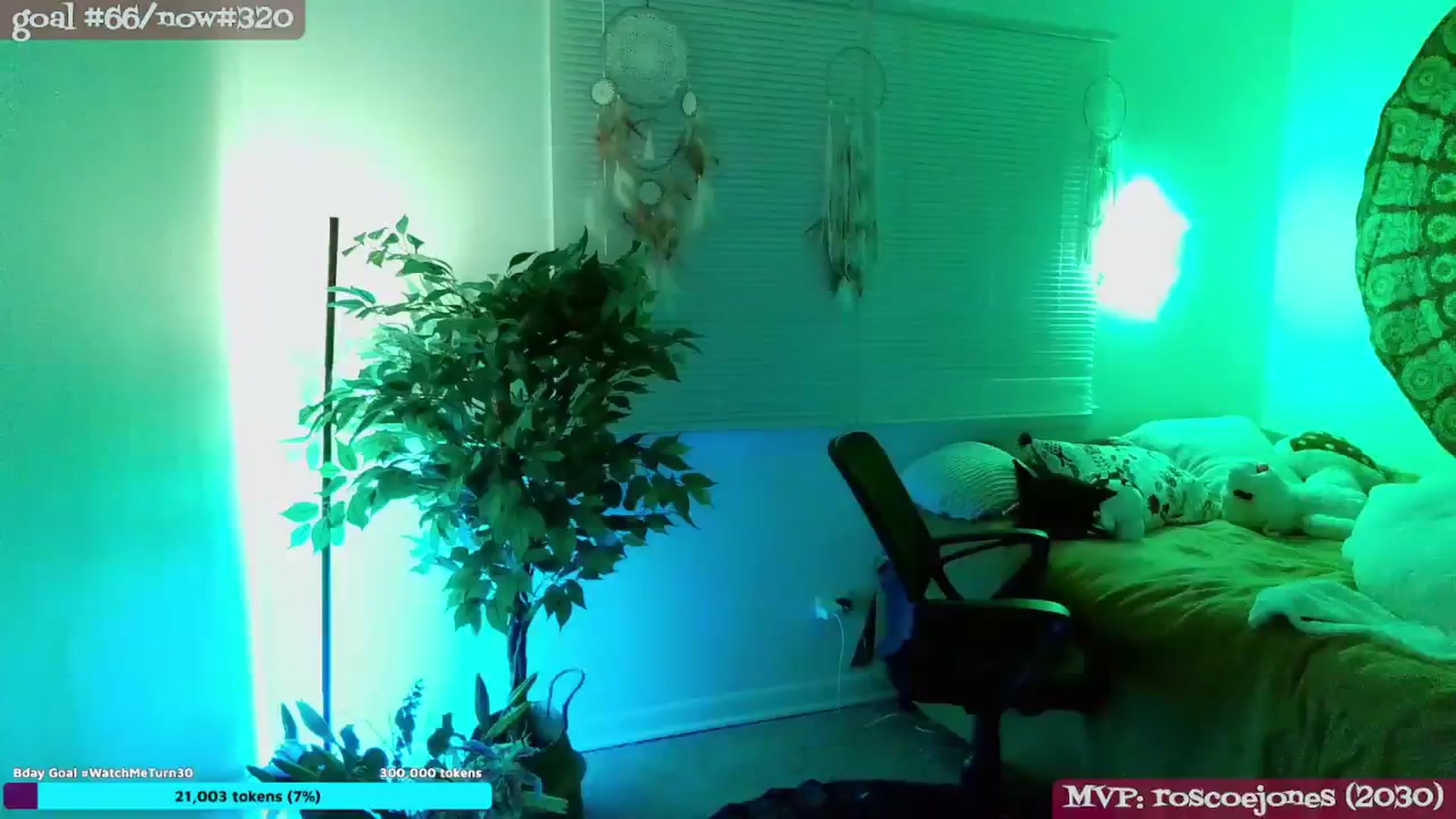 Gallery image thumbnail from meowgical's myfreecams stream on, 03/10/2026, 04:02 image 13 of 20