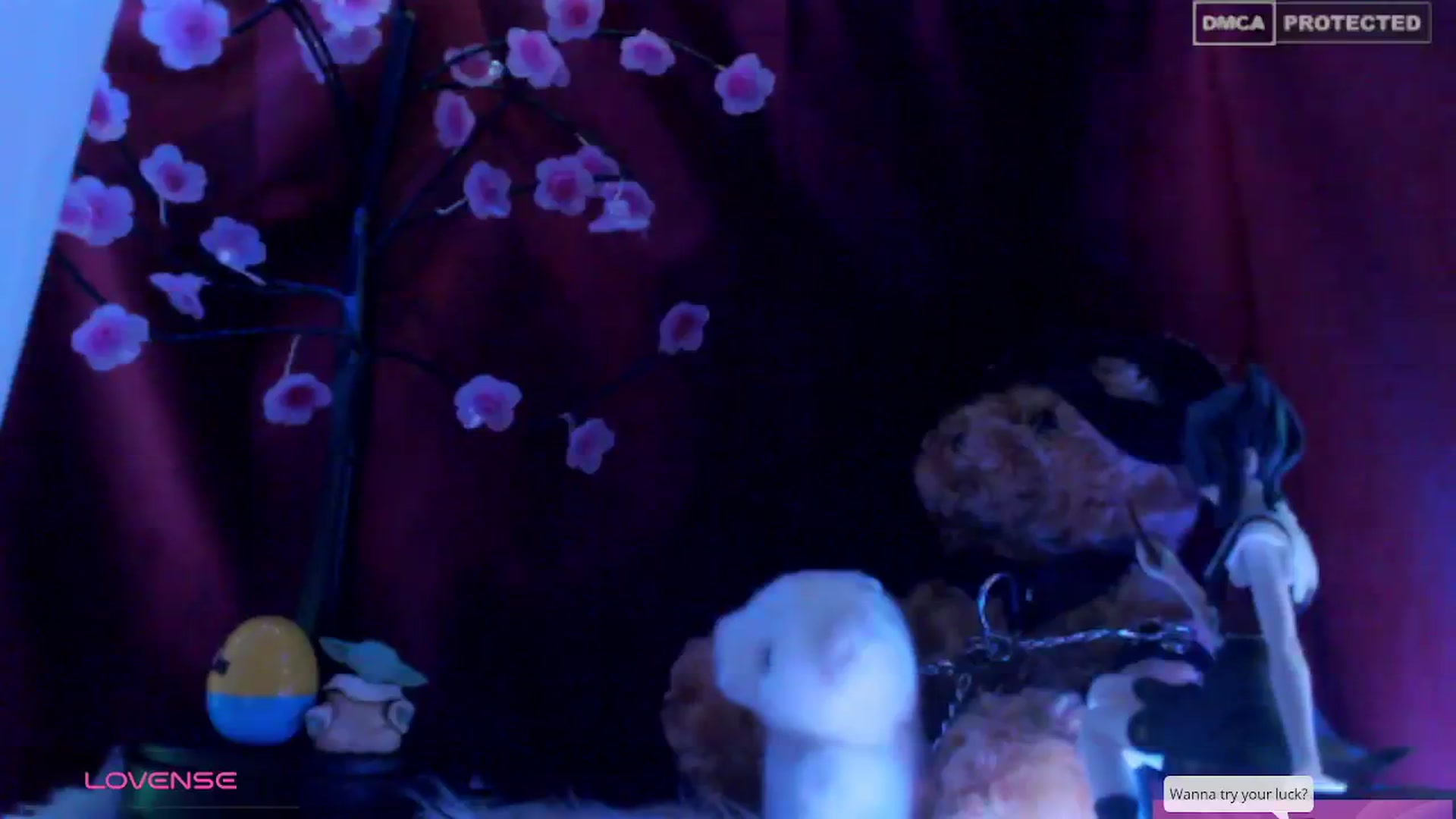 Gallery image thumbnail from meows's myfreecams stream on, 04/20/2024, 04:57 image 6 of 20