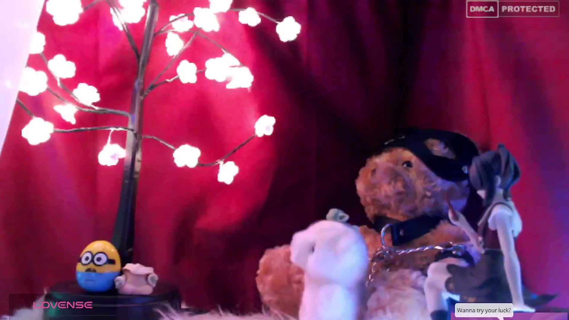 Gallery image thumbnail from meows's myfreecams stream on, 04/20/2024, 04:57 image 3 of 20